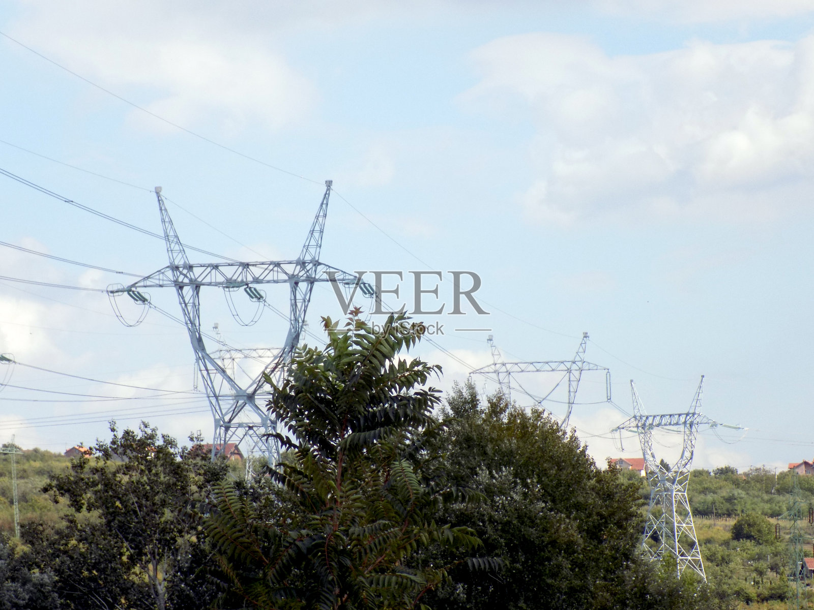 树顶上的金属电线杆照片摄影图片