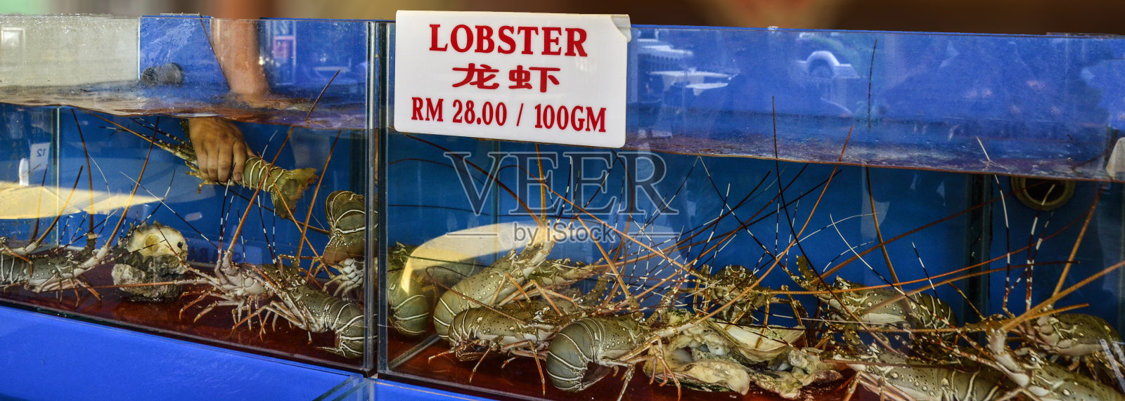 龙虾监狱照片摄影图片