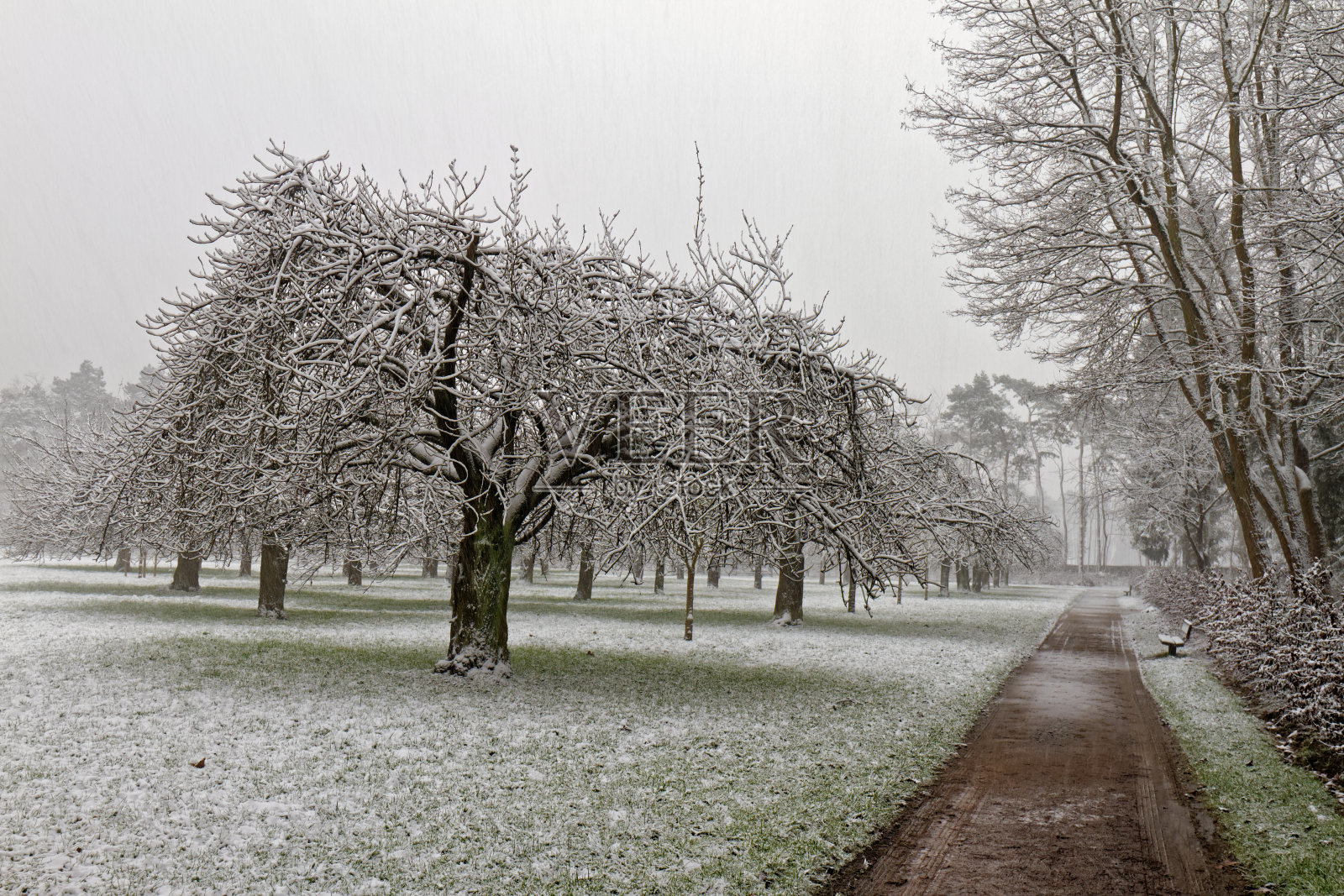 2018年2月6日-巴黎-法国照片摄影图片