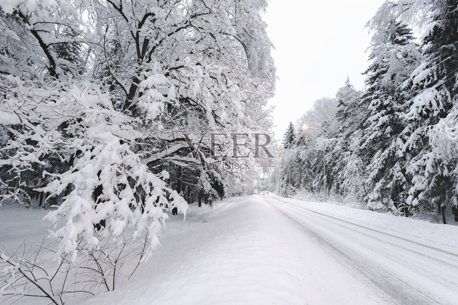 冬天下雪的景色照片摄影图片