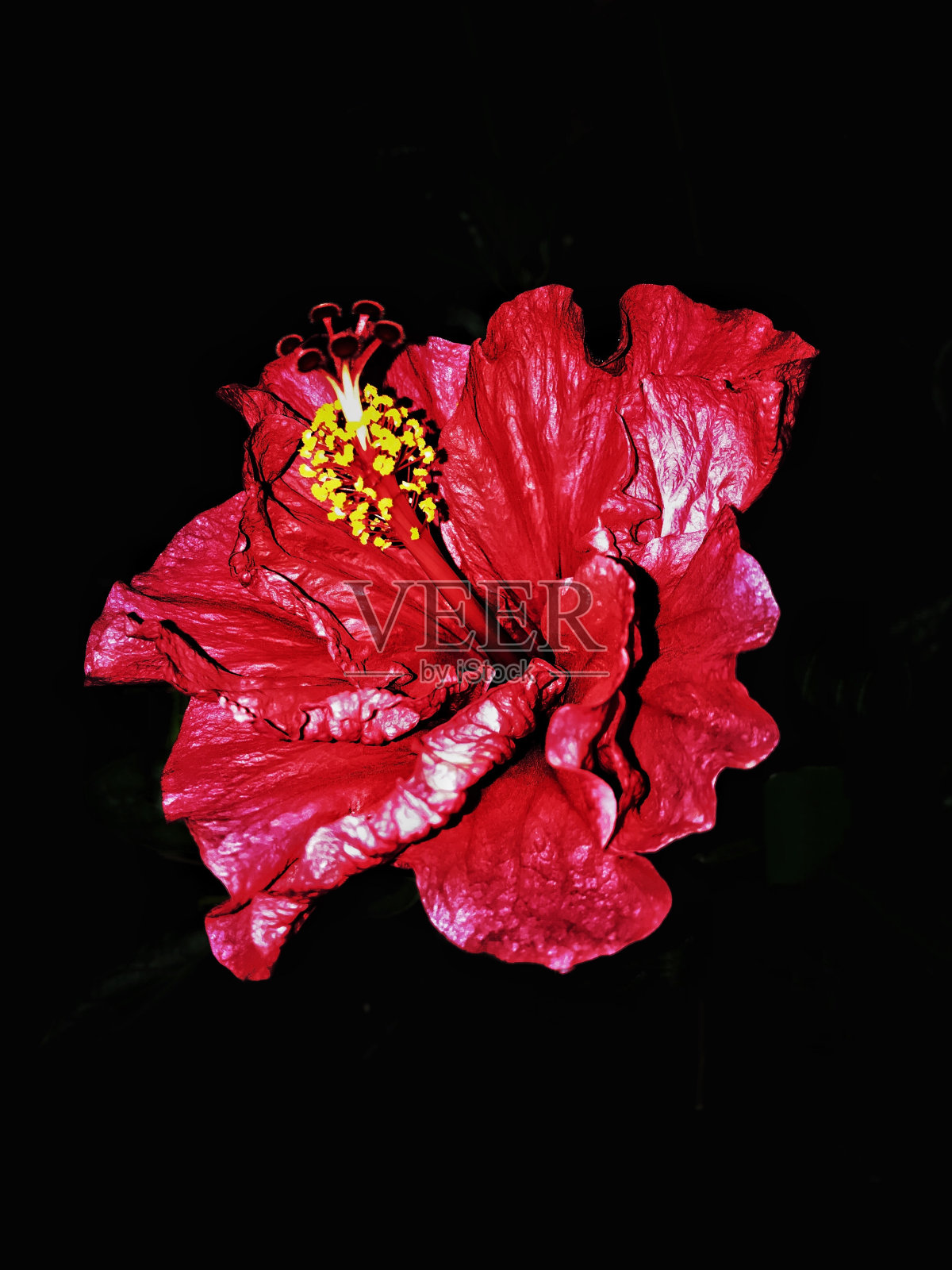 红色的噩梦照片摄影图片