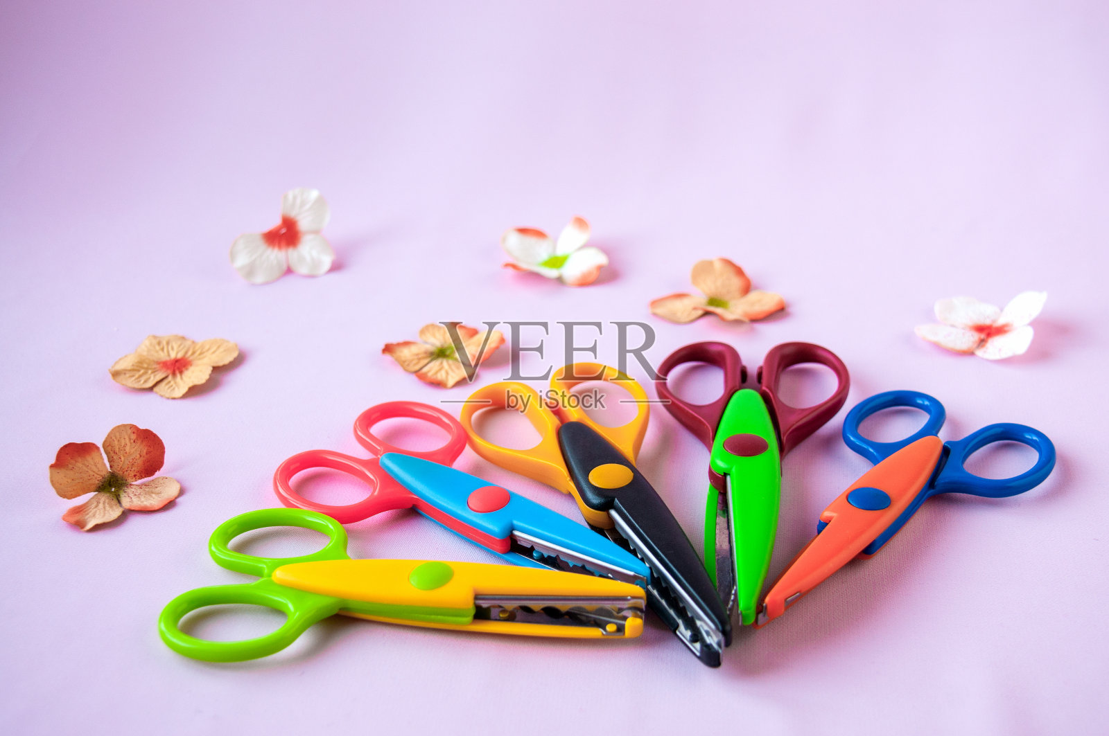 粉红色背景上的多色剪刀和花朵照片摄影图片