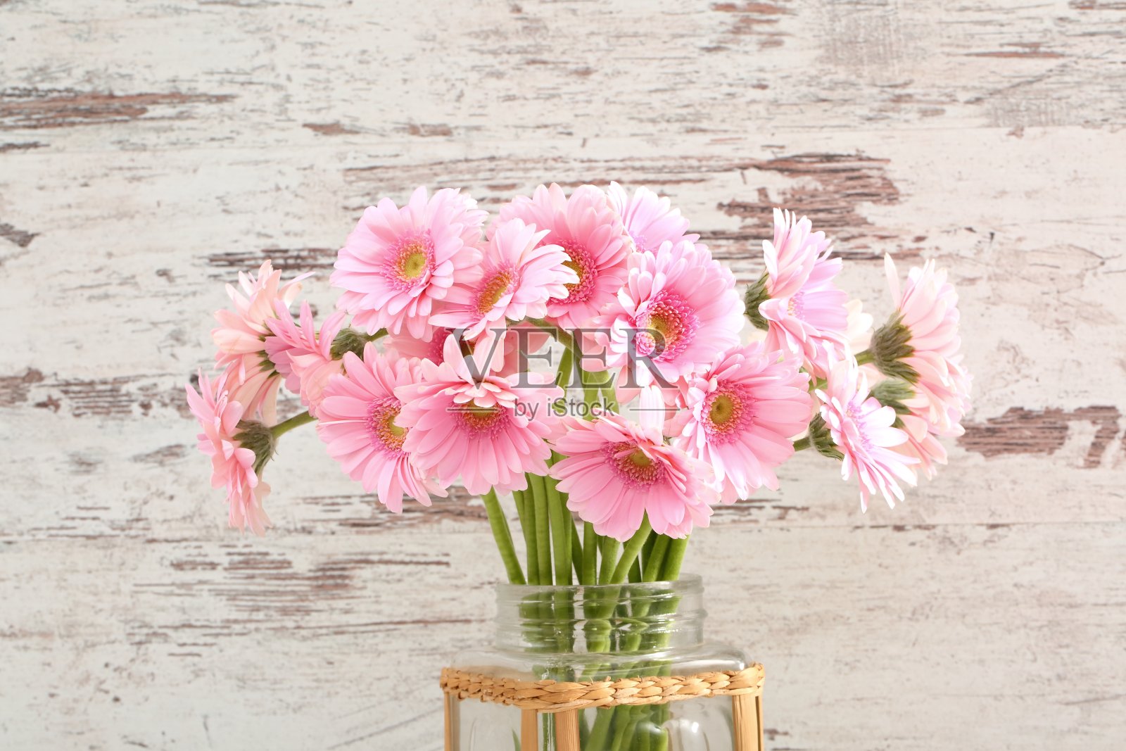 非洲菊有一个大的美丽的花序是一个奇妙的装饰任何系或装饰与切花。照片摄影图片