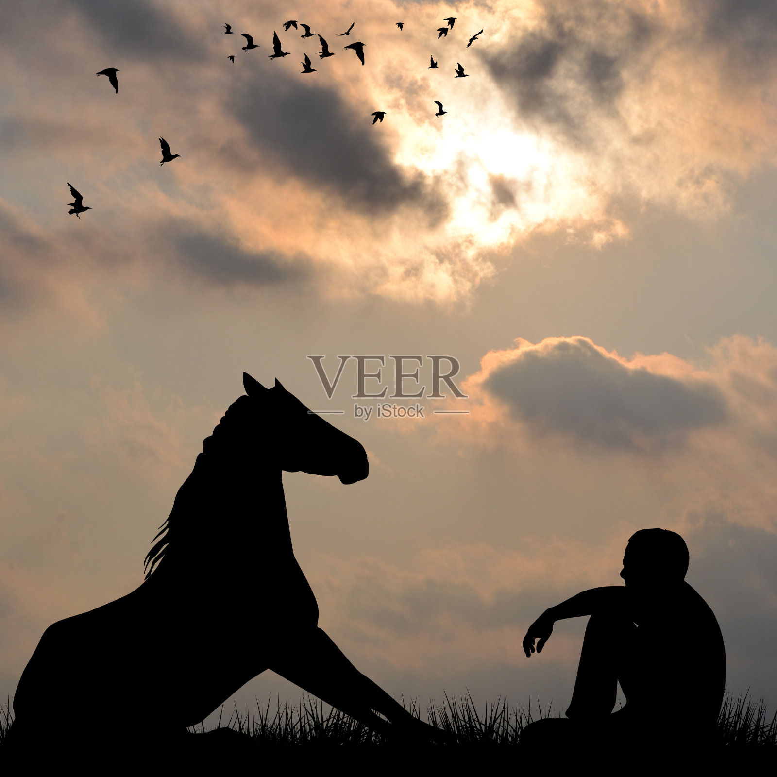 户外草地上马和男人坐着的剪影照片摄影图片