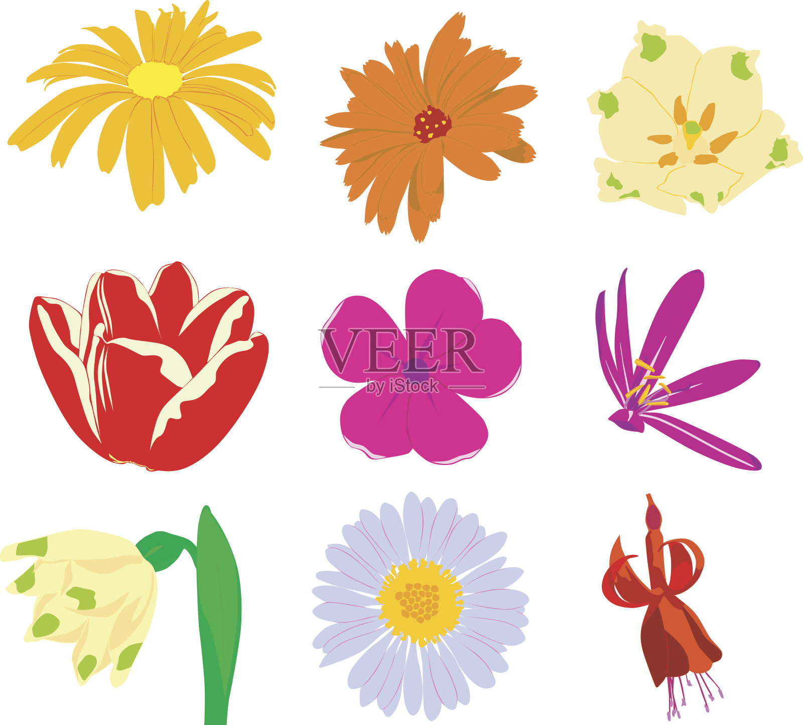 向量花2插画图片素材