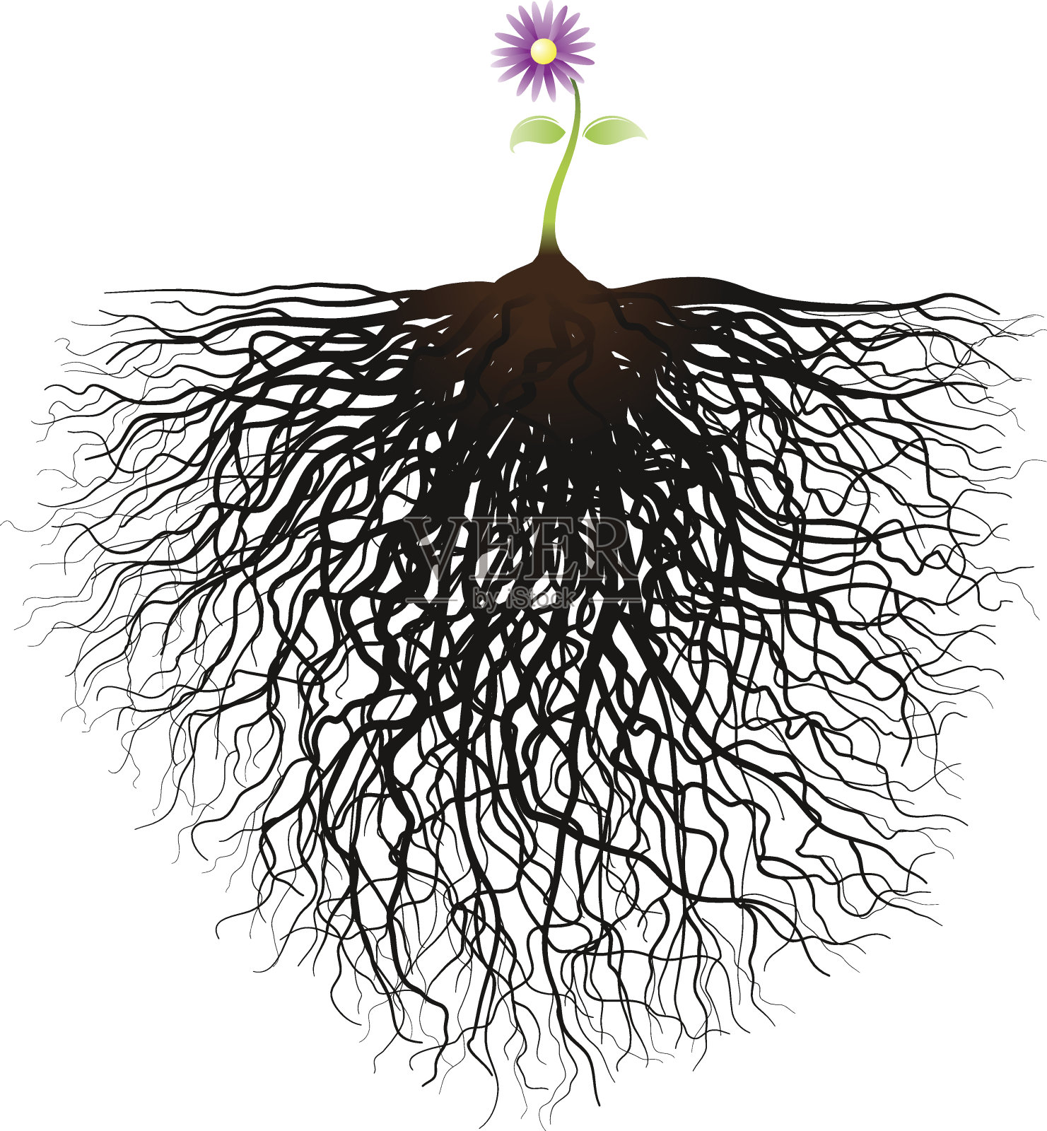 小花设计元素图片