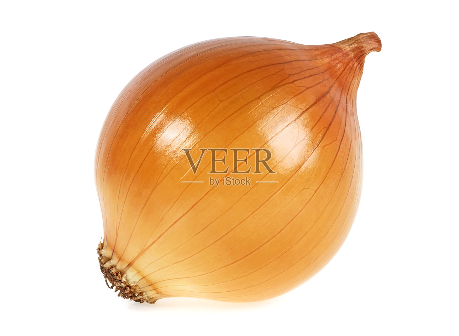 一个黄色的洋葱孤立在白色背景上照片摄影图片