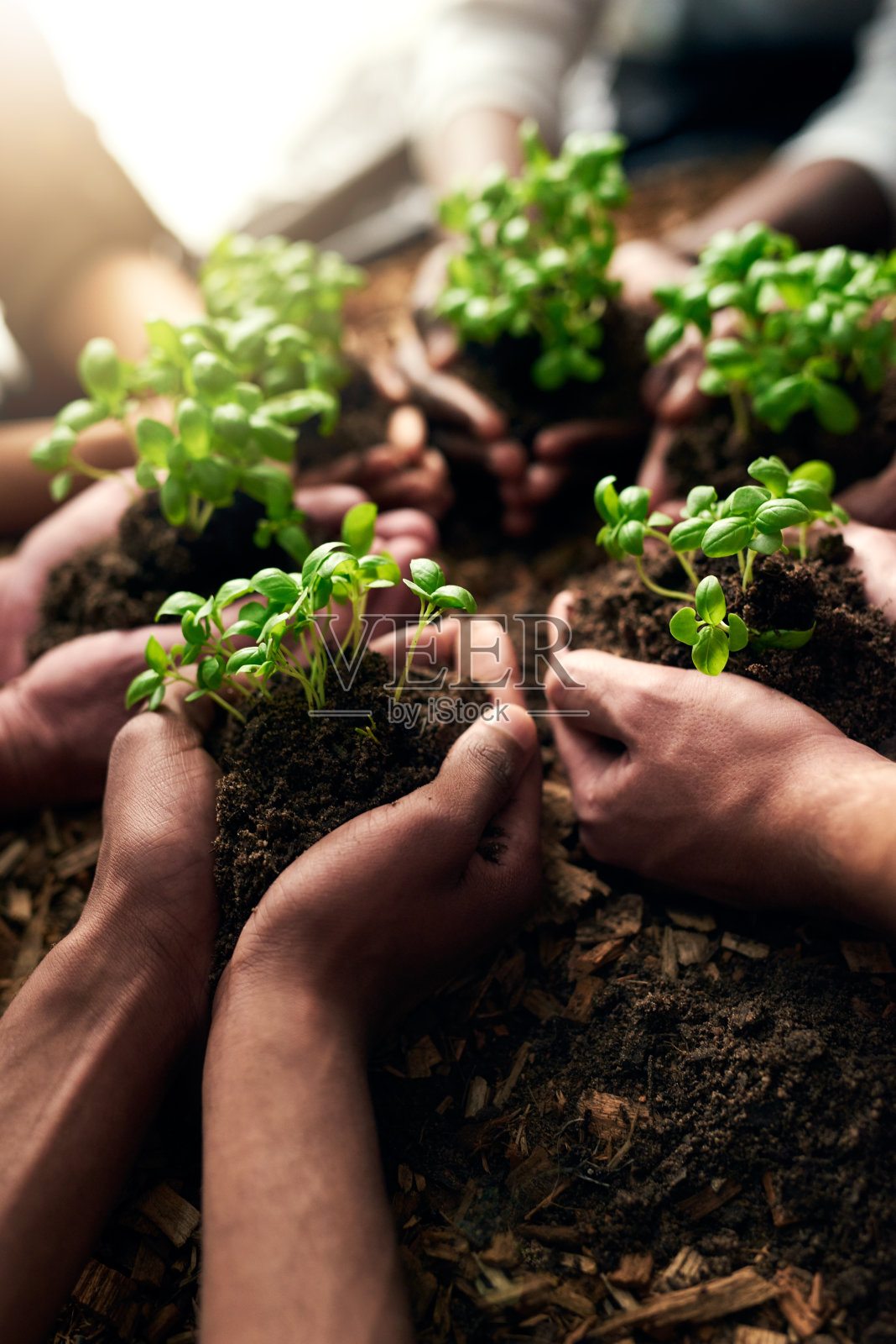 Don’t jut survive, thrive照片摄影图片