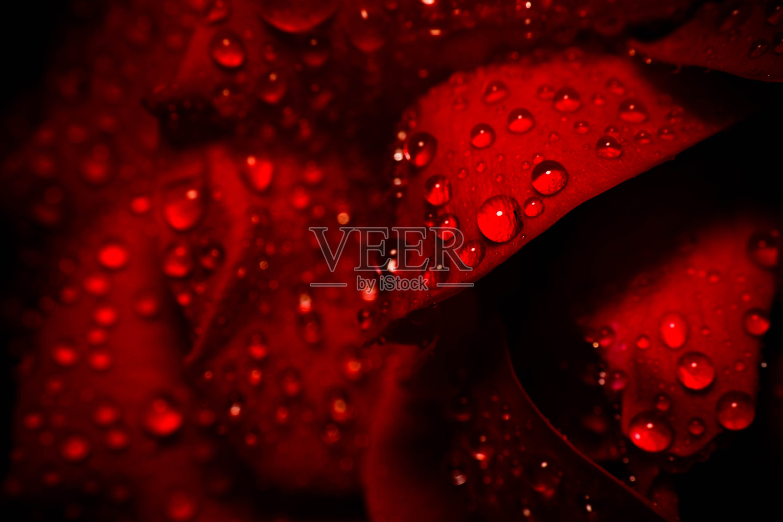 特写镜头下降照片摄影图片