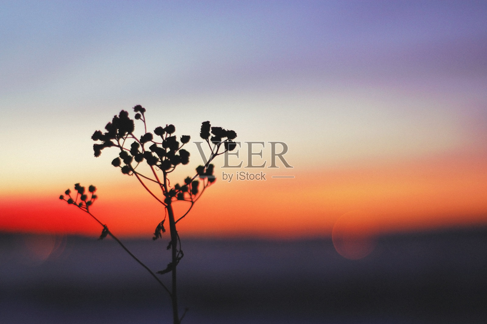 日落西尔豪埃特照片摄影图片