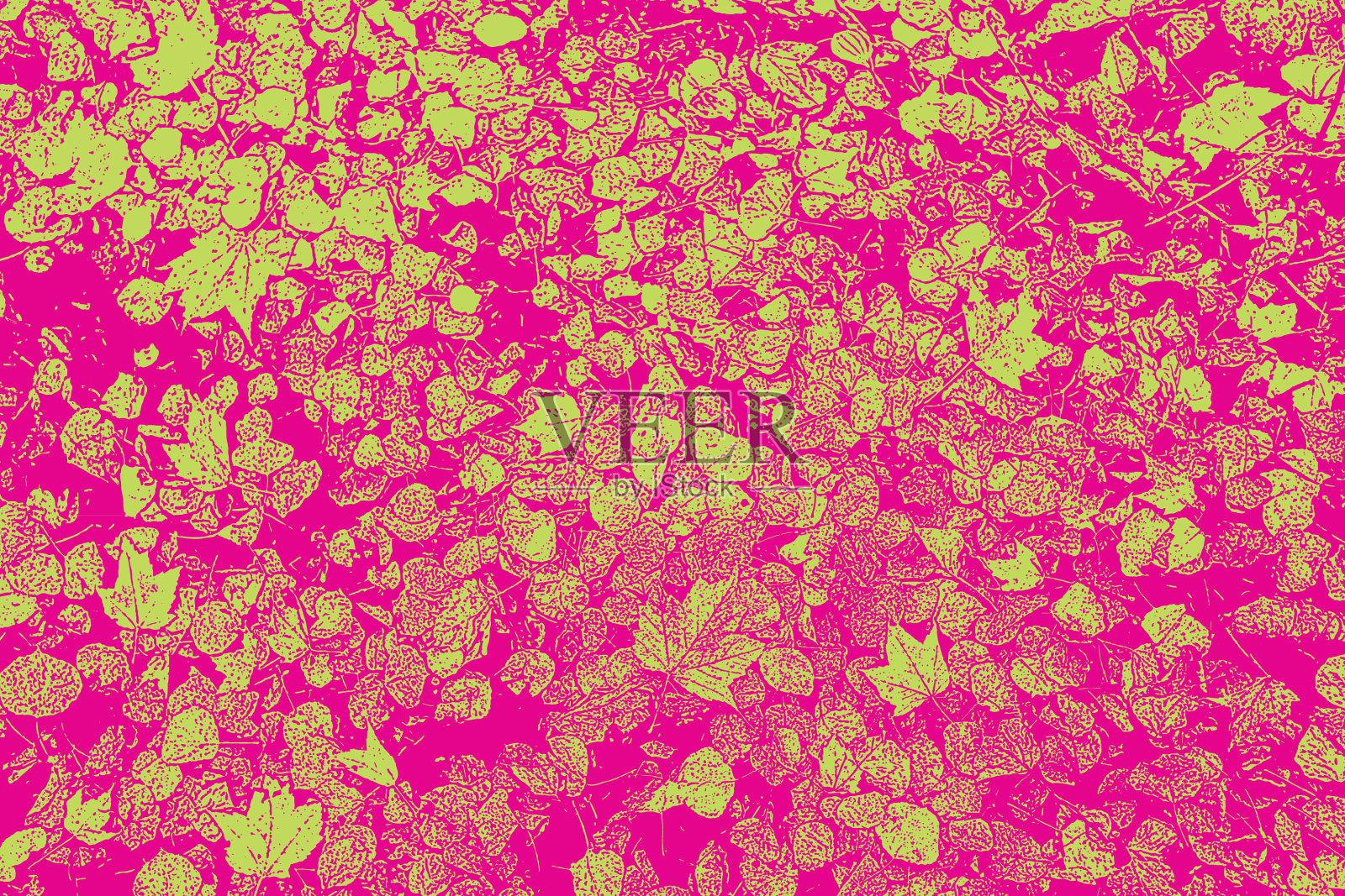 秋天的树叶在明尼苏达州立公园的小路上插画图片素材