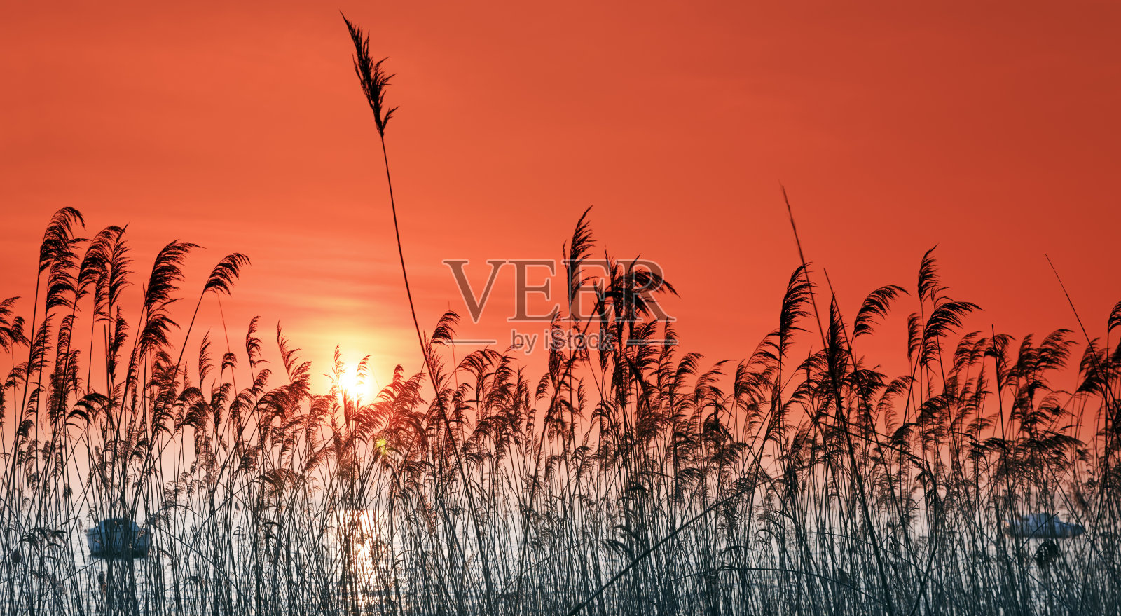 Lacanau湖日落照片摄影图片