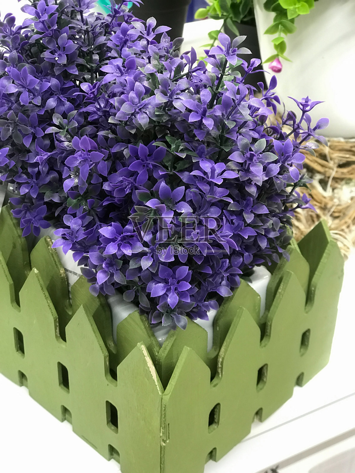 美丽的鲜花照片摄影图片