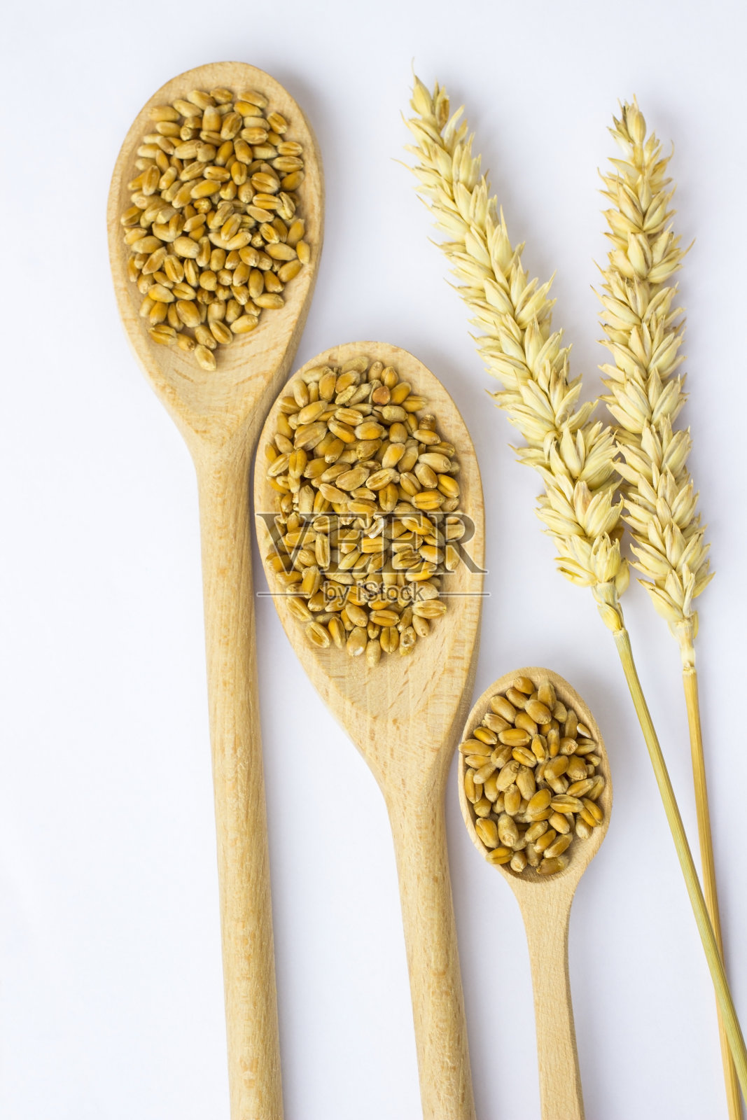 木勺里的小麦。嫩枝的小麦。白色背景。俯视图照片摄影图片