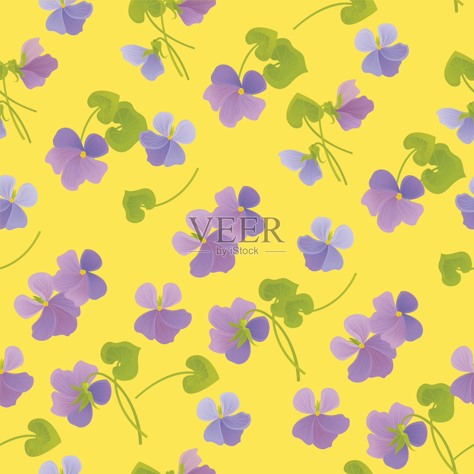 森林紫罗兰。春天的花卉图案。插画图片素材