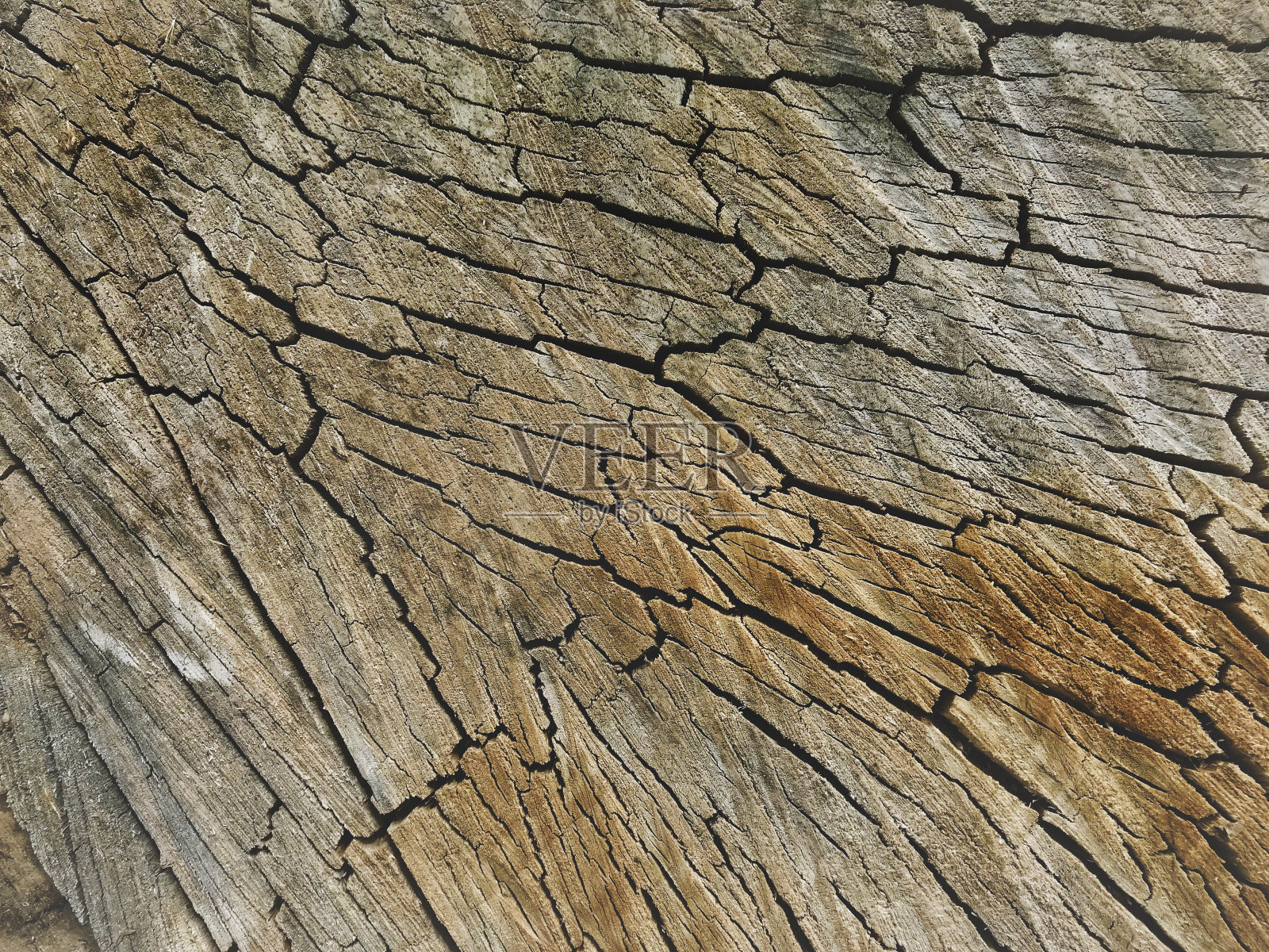 纹理-西部科罗拉多乡村木纹背景照片摄影图片