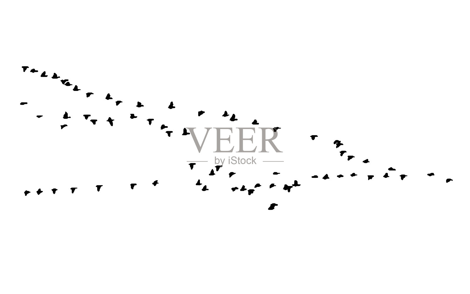 飞行中的大白额雁楔。矢量剪影一群鸟插画图片素材