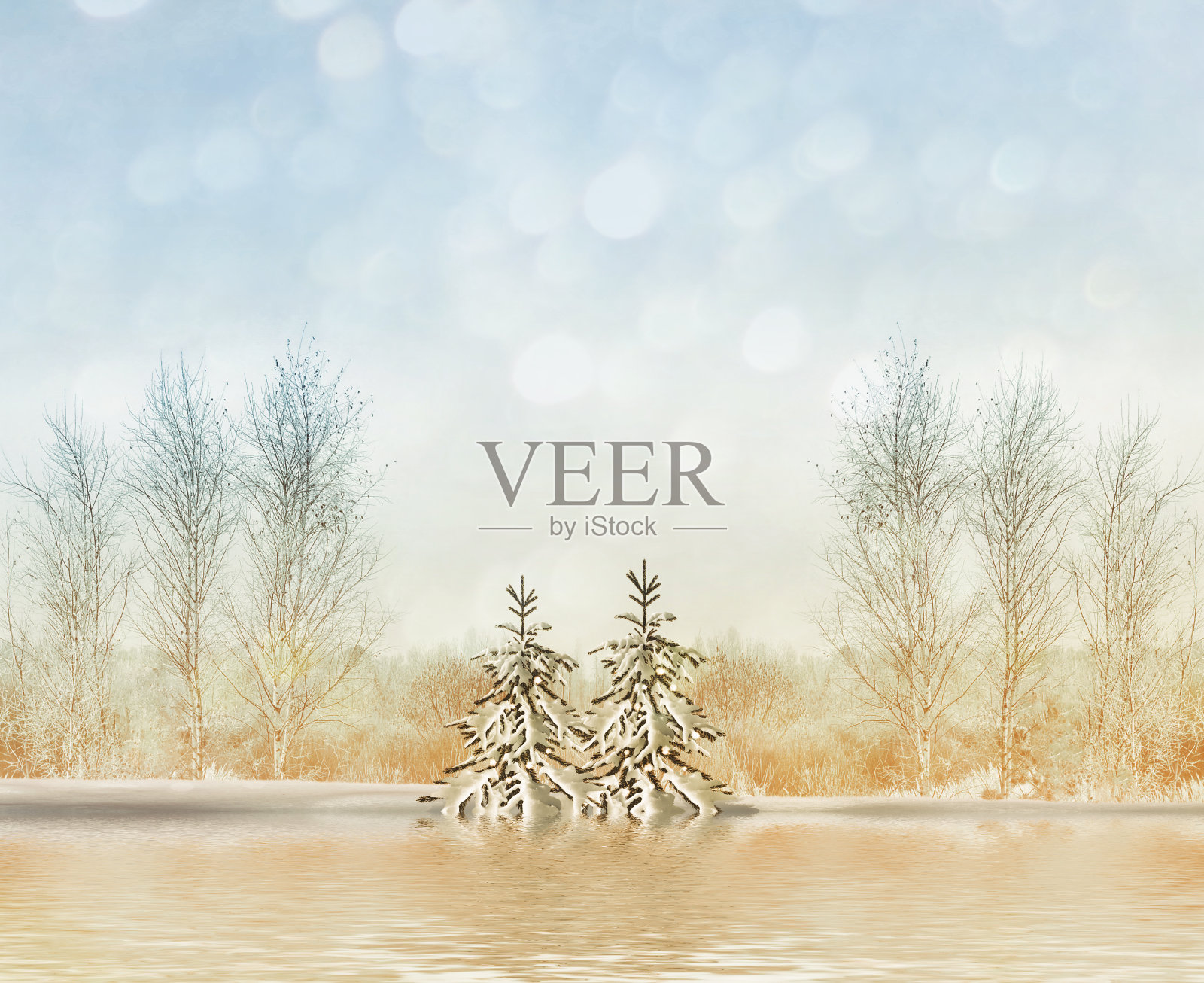 冬天的森林，树木被雪覆盖。照片摄影图片