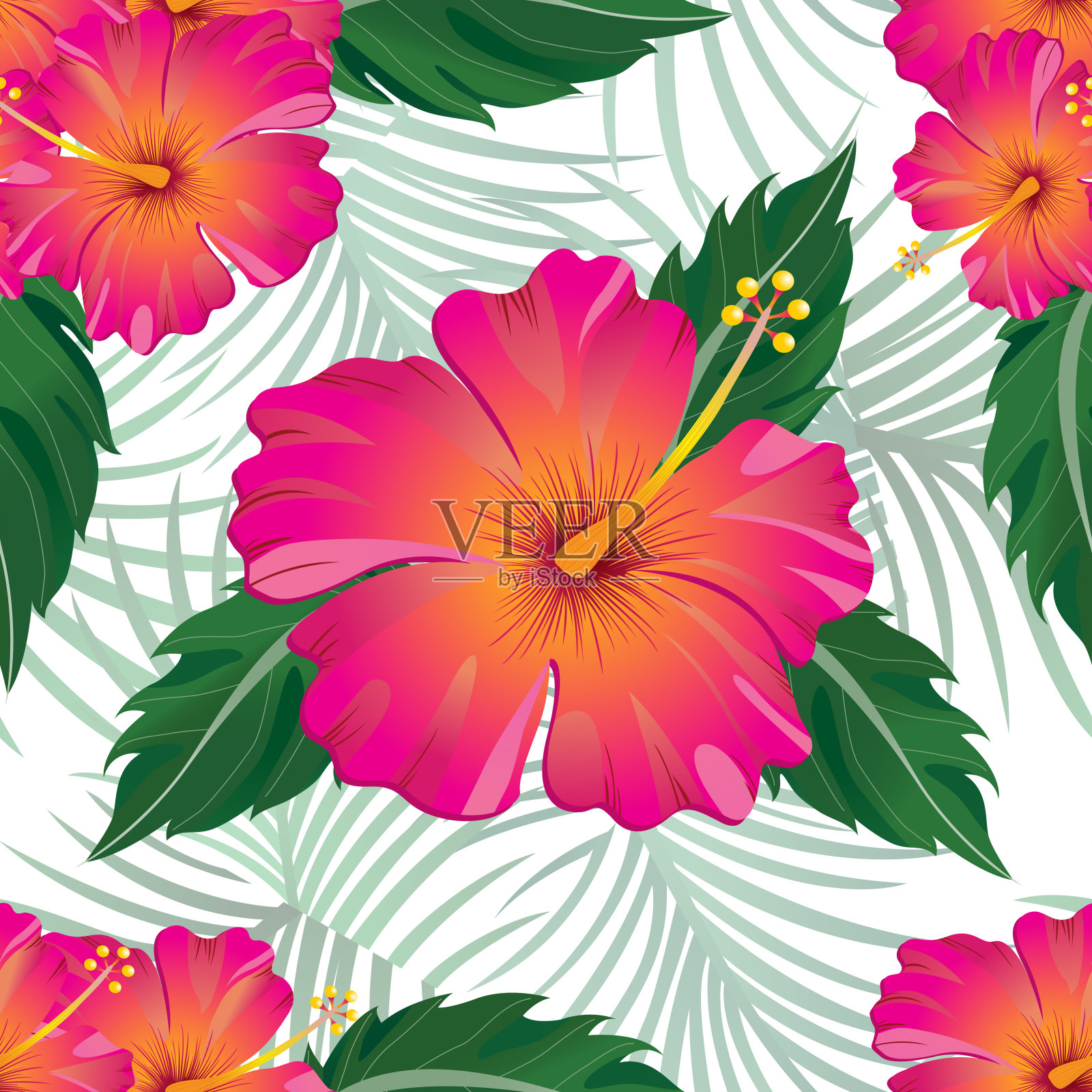 热带模式孤立在白色背景-矢量图插画图片素材