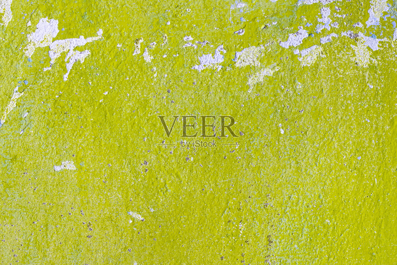 修前绿墙照片摄影图片