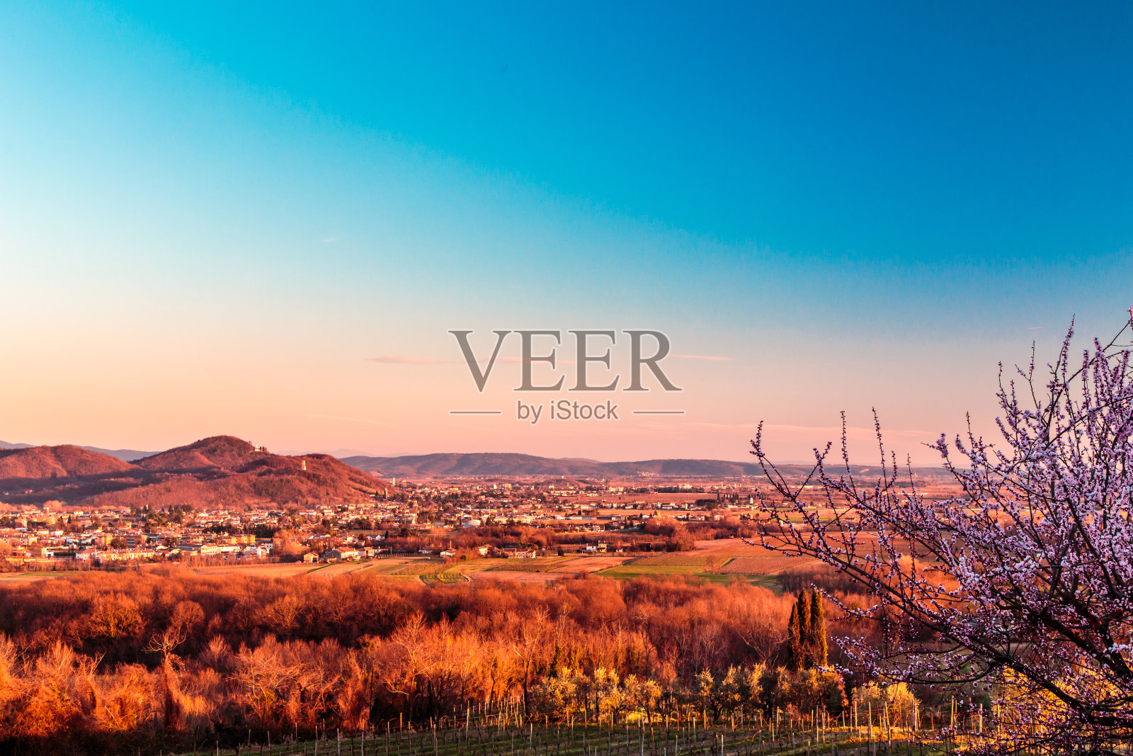 罗萨佐葡萄园的日落照片摄影图片