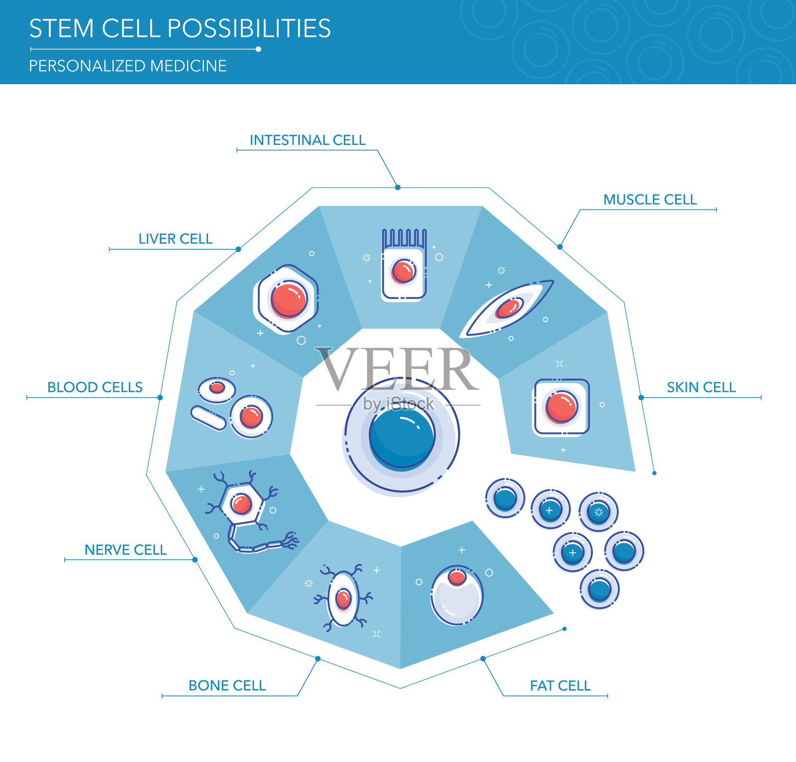 干细胞可能性概念插画图片素材