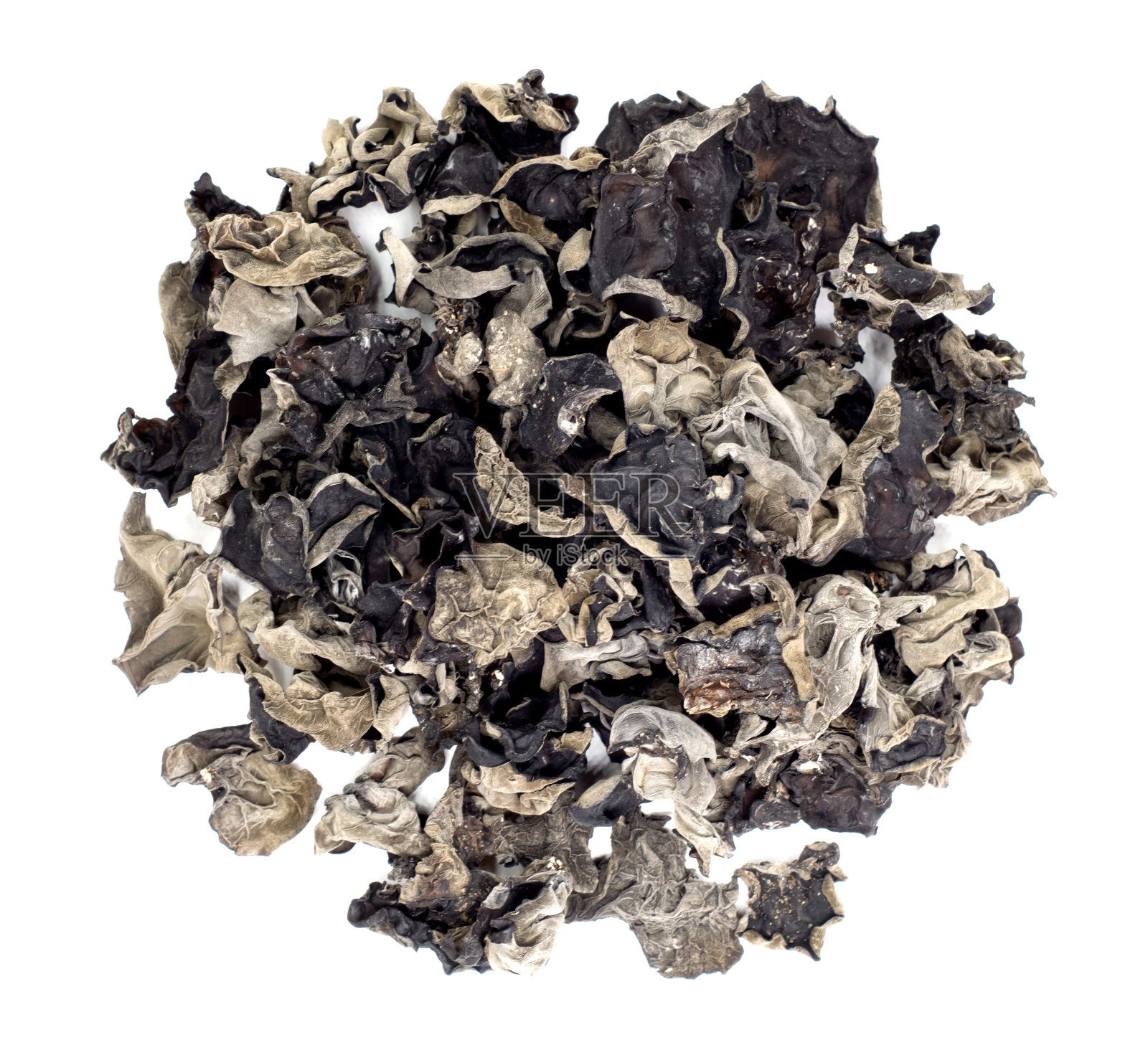 白底黑真菌照片摄影图片