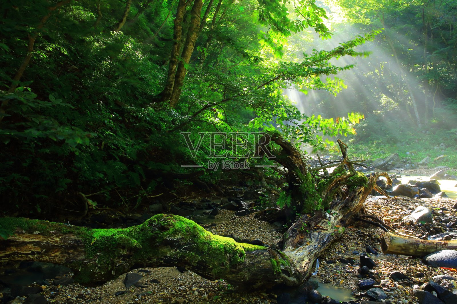 秋天的龟田瀑布静止不动照片摄影图片
