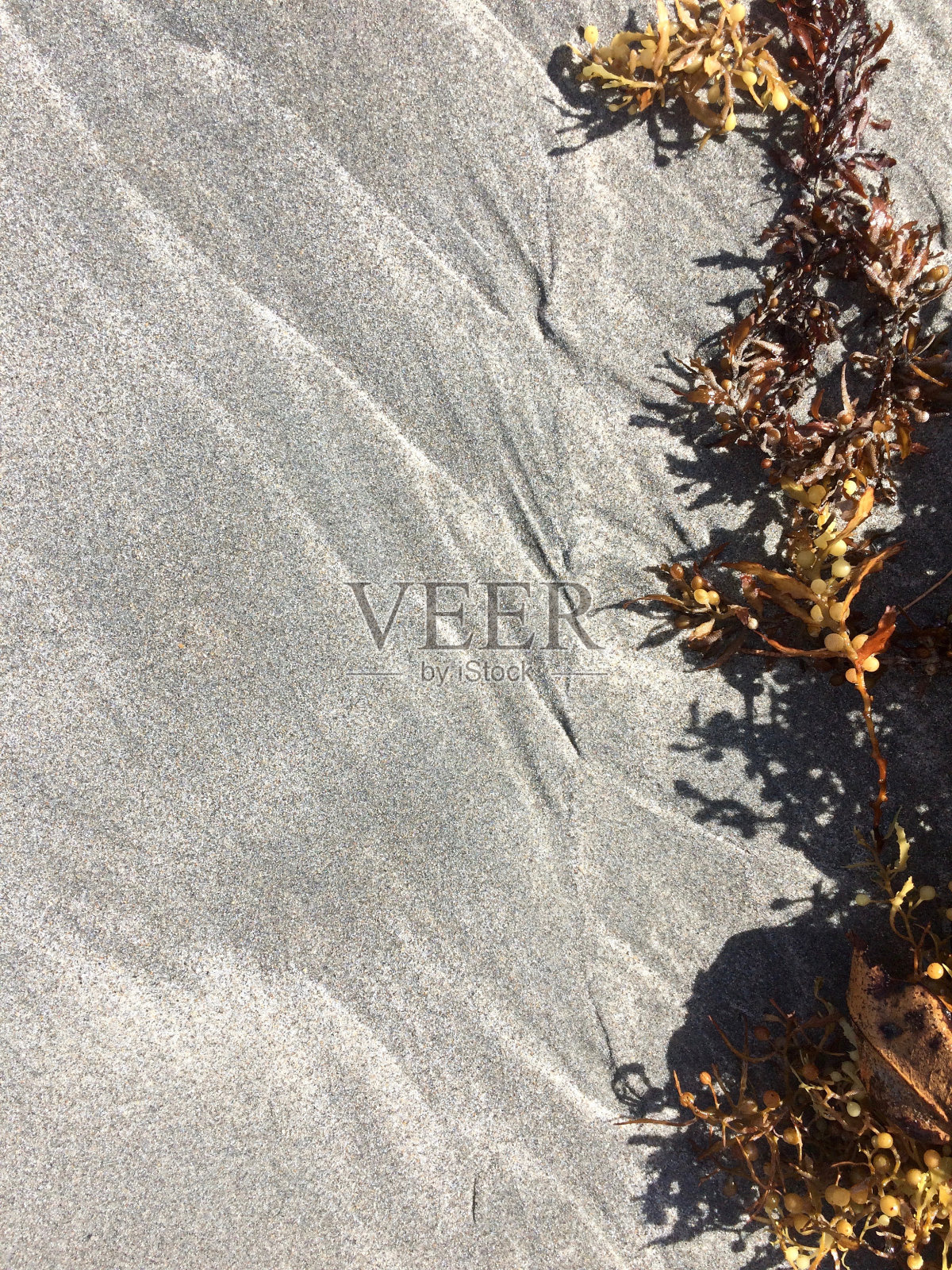 摘要在朱庇特海滩的海滩砂照片摄影图片