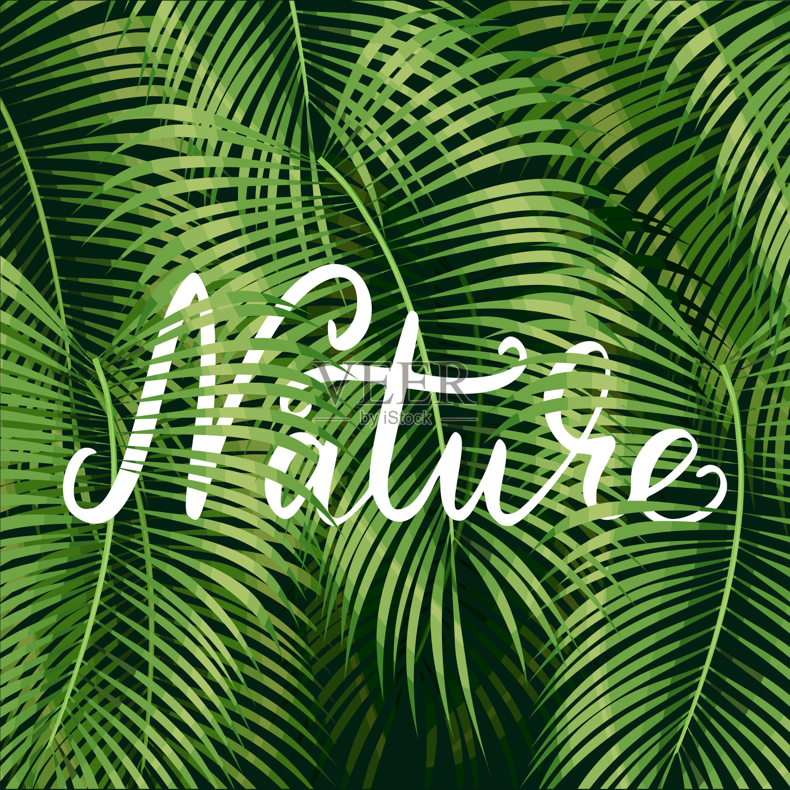 自然美丽的花插画图片素材