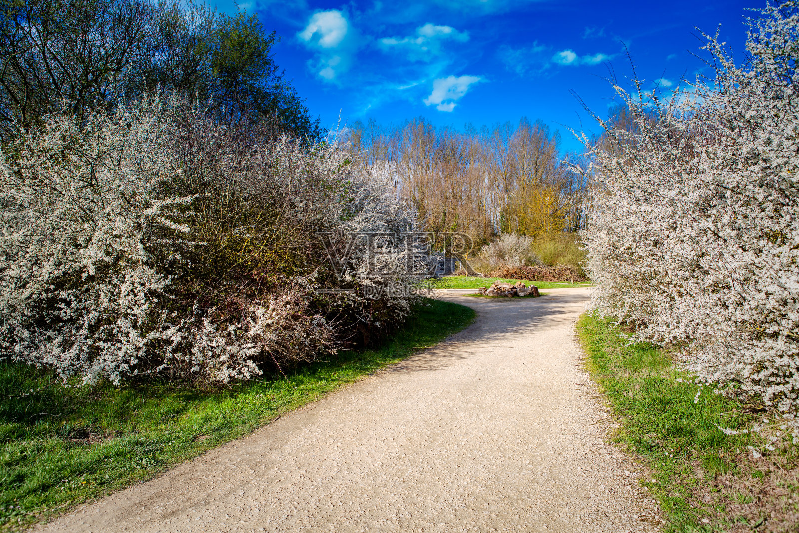 萨尔布鲁公园的春天。威托利亚-加斯泰兹。西班牙照片摄影图片