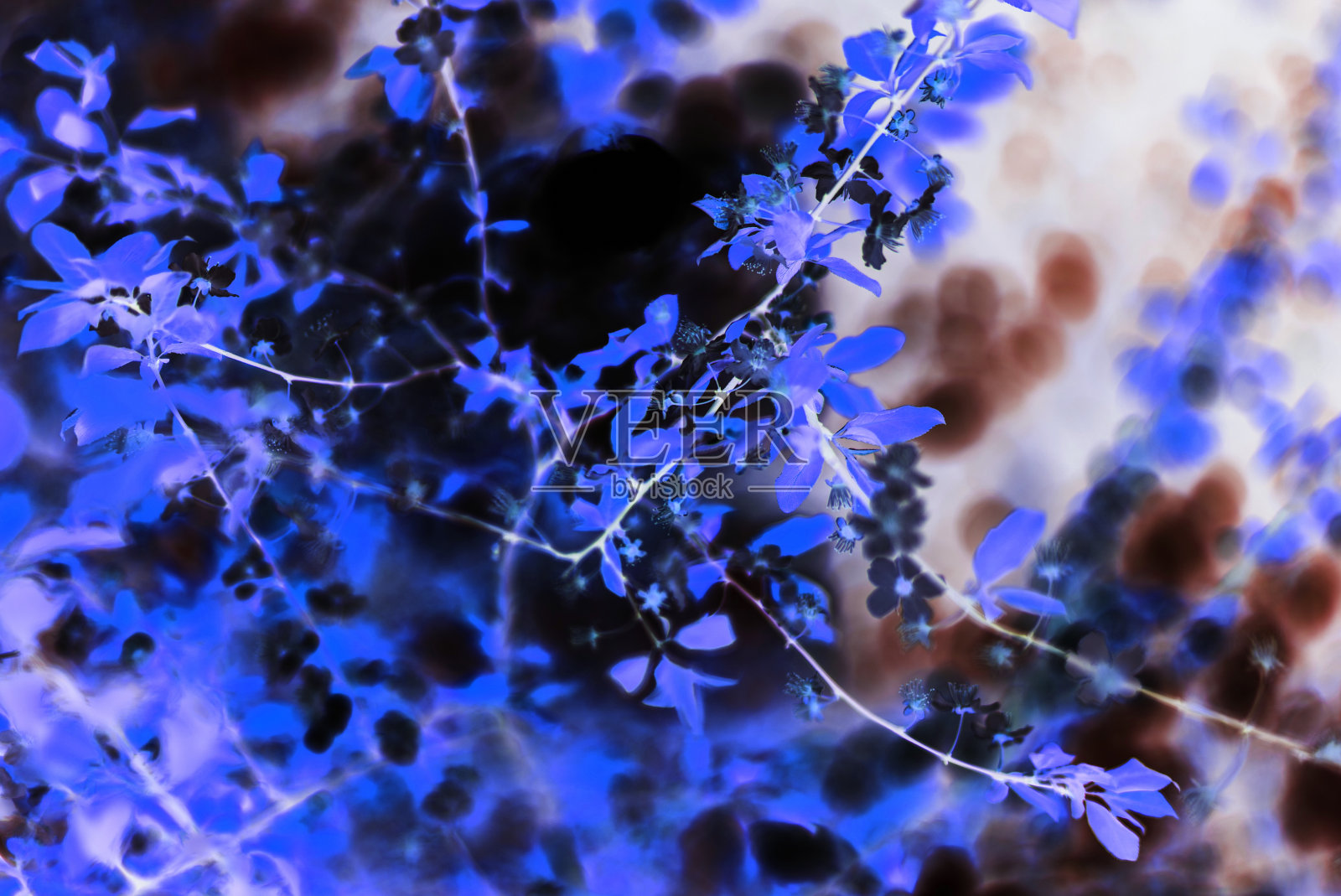 抽象的背景-抽象的纹理-彩色的图案照片摄影图片