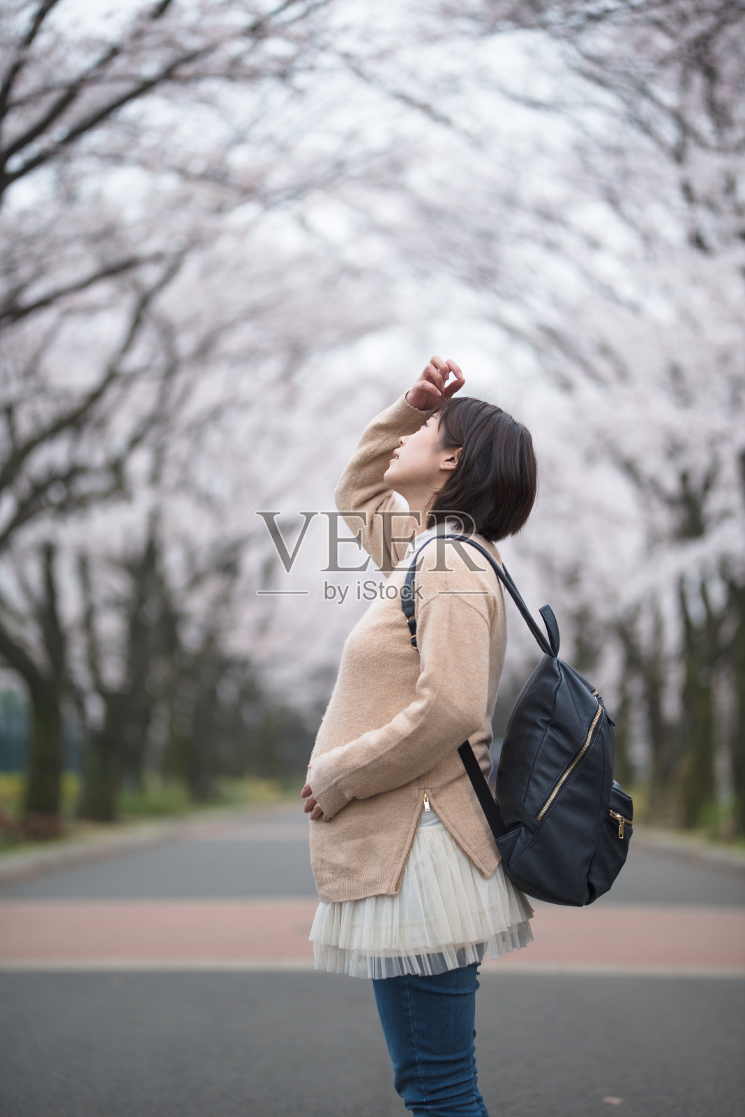孕妇和樱花照片摄影图片