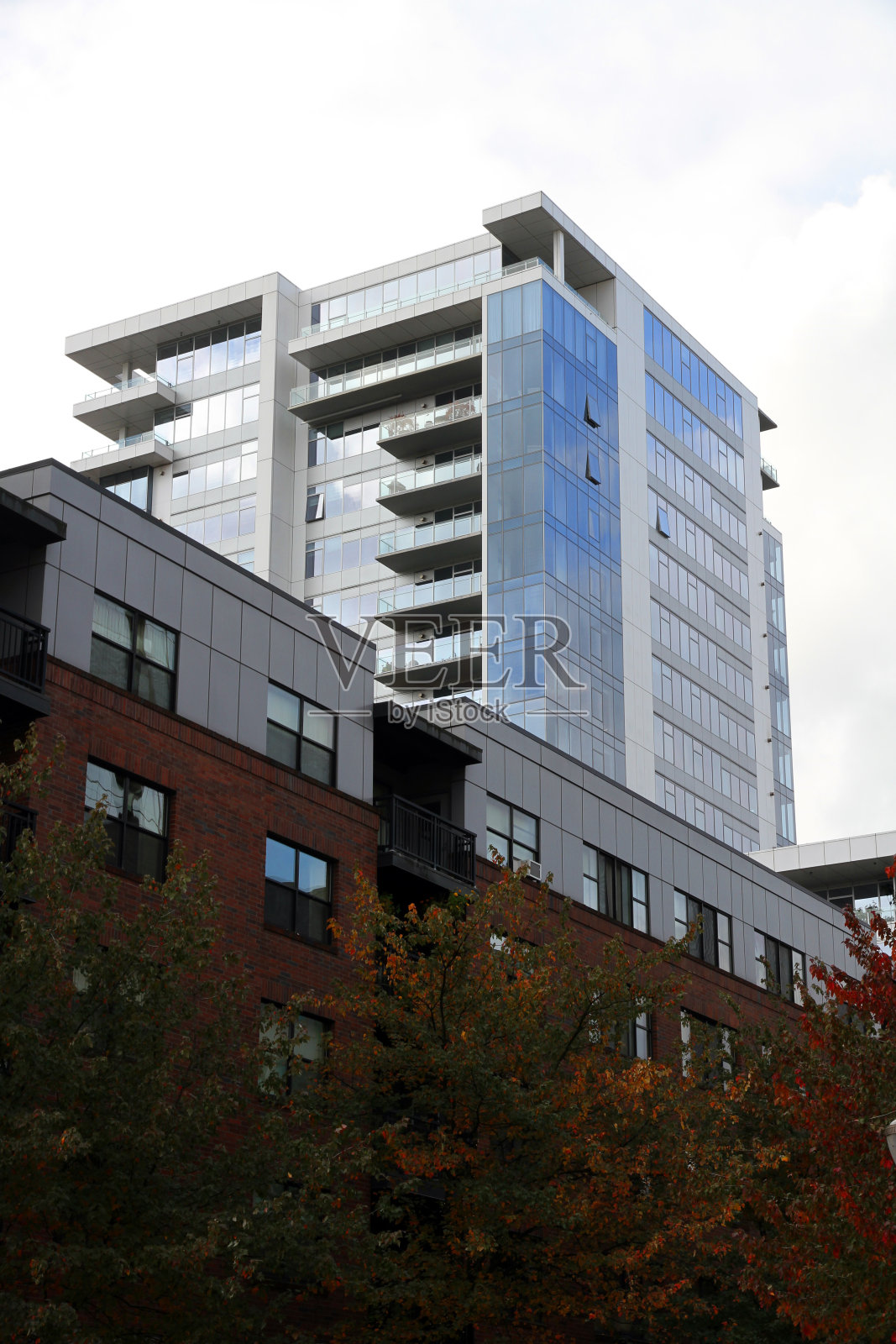 阴暗的未来照片摄影图片