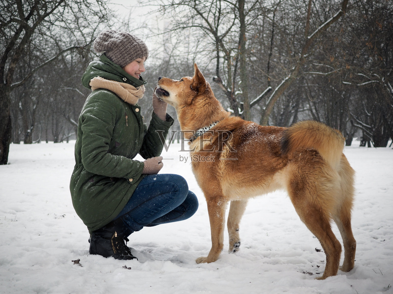 美丽的年轻女孩和一只巨大的红色狗在散步照片摄影图片