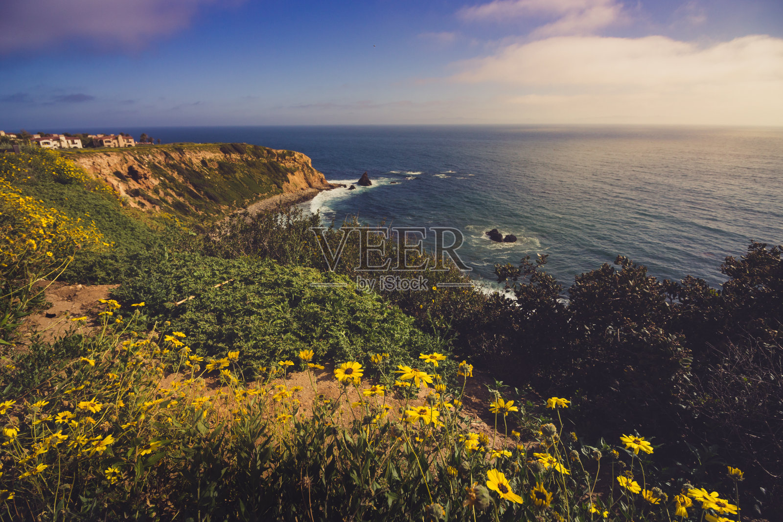 Rancho Palos Verdes超级布鲁姆照片摄影图片