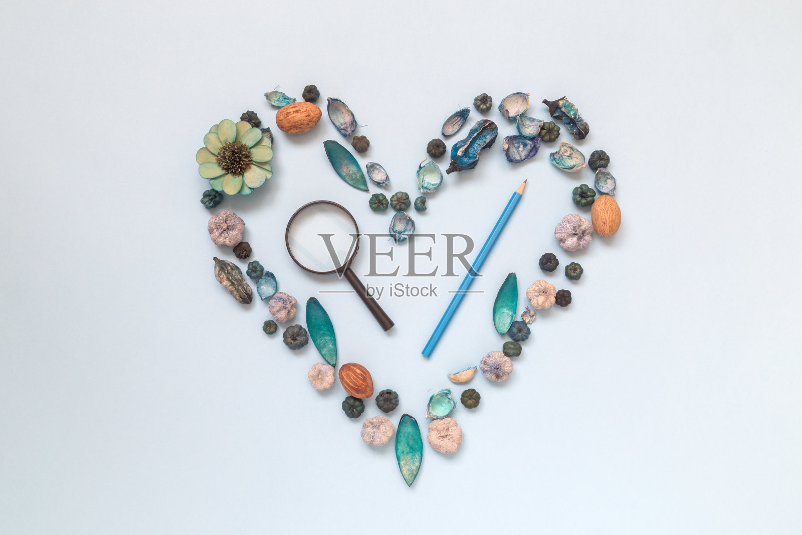 用放大镜和铅笔将各种自然事物做成心形符号。探索和热爱自然的理念。平的。照片摄影图片