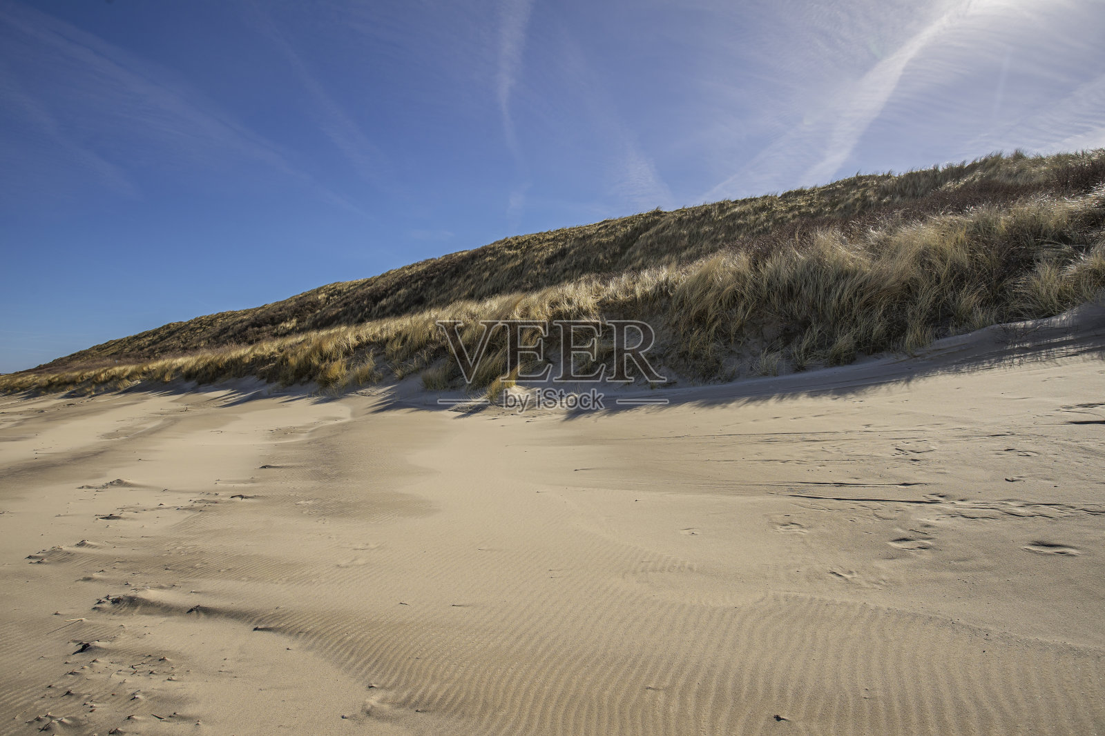图案在沙子与草地沙丘/荷兰照片摄影图片