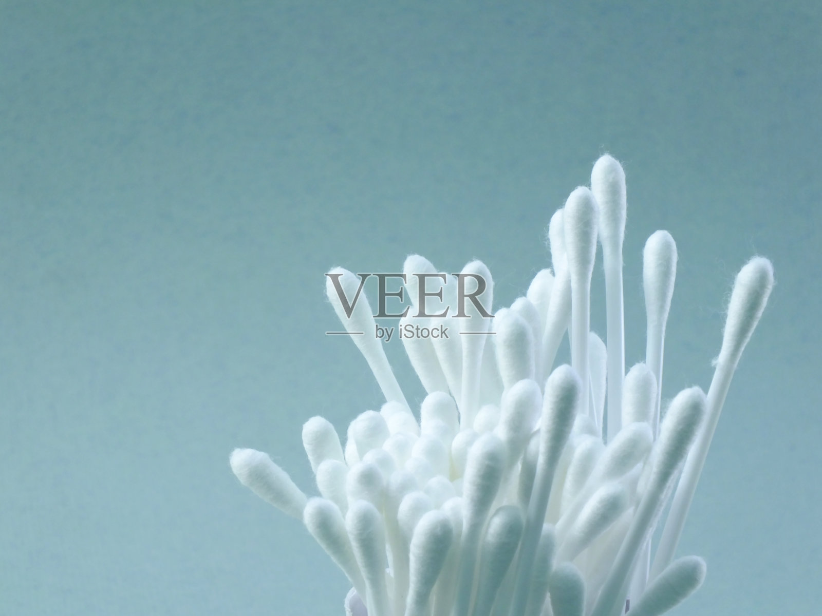 白色棉芽孤立在灰色背景上照片摄影图片