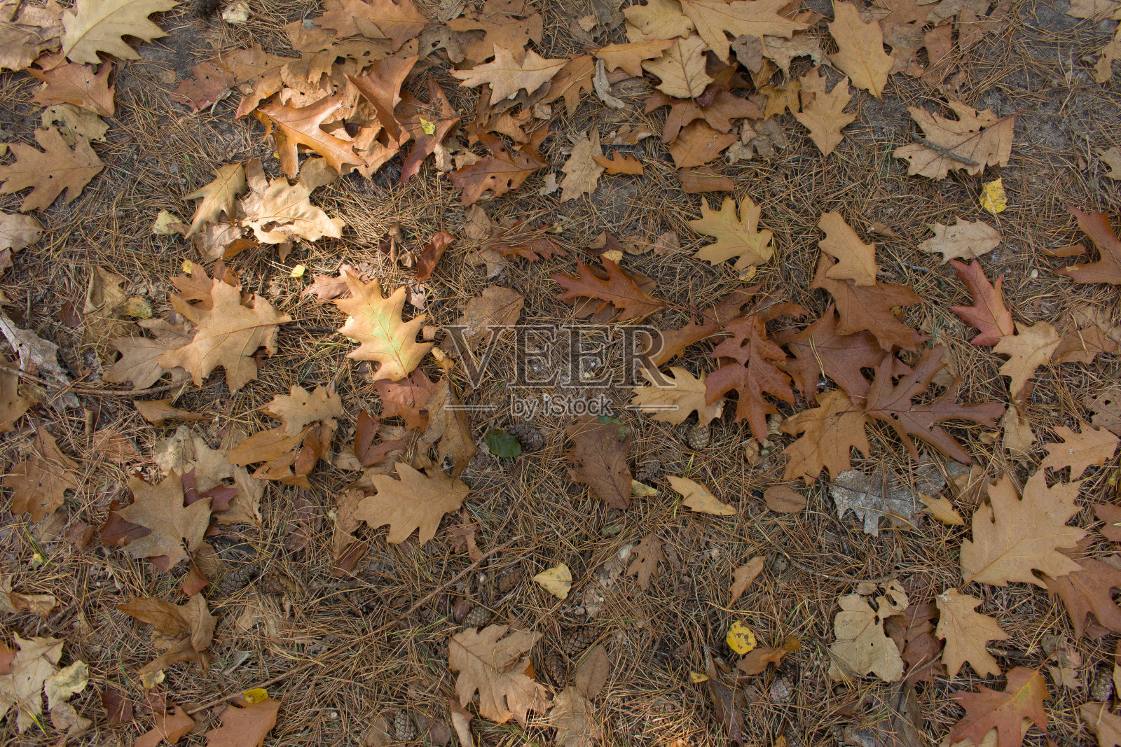 地面纹理照片摄影图片