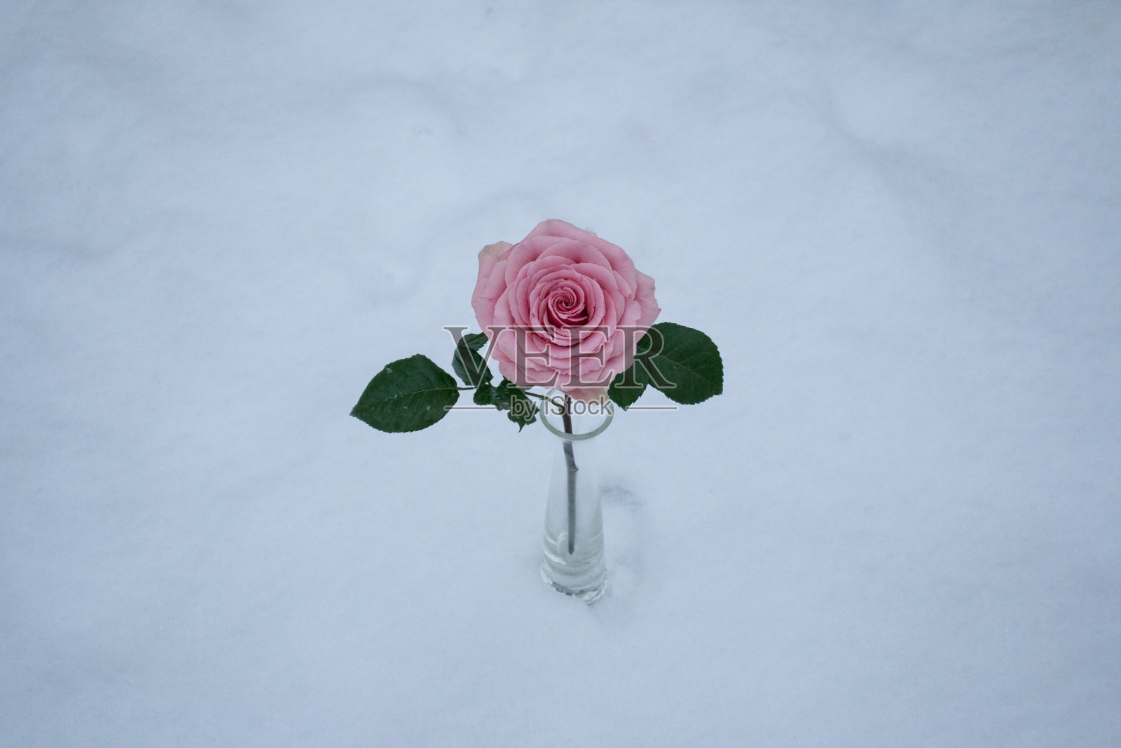 冬天的各种物品照片摄影图片