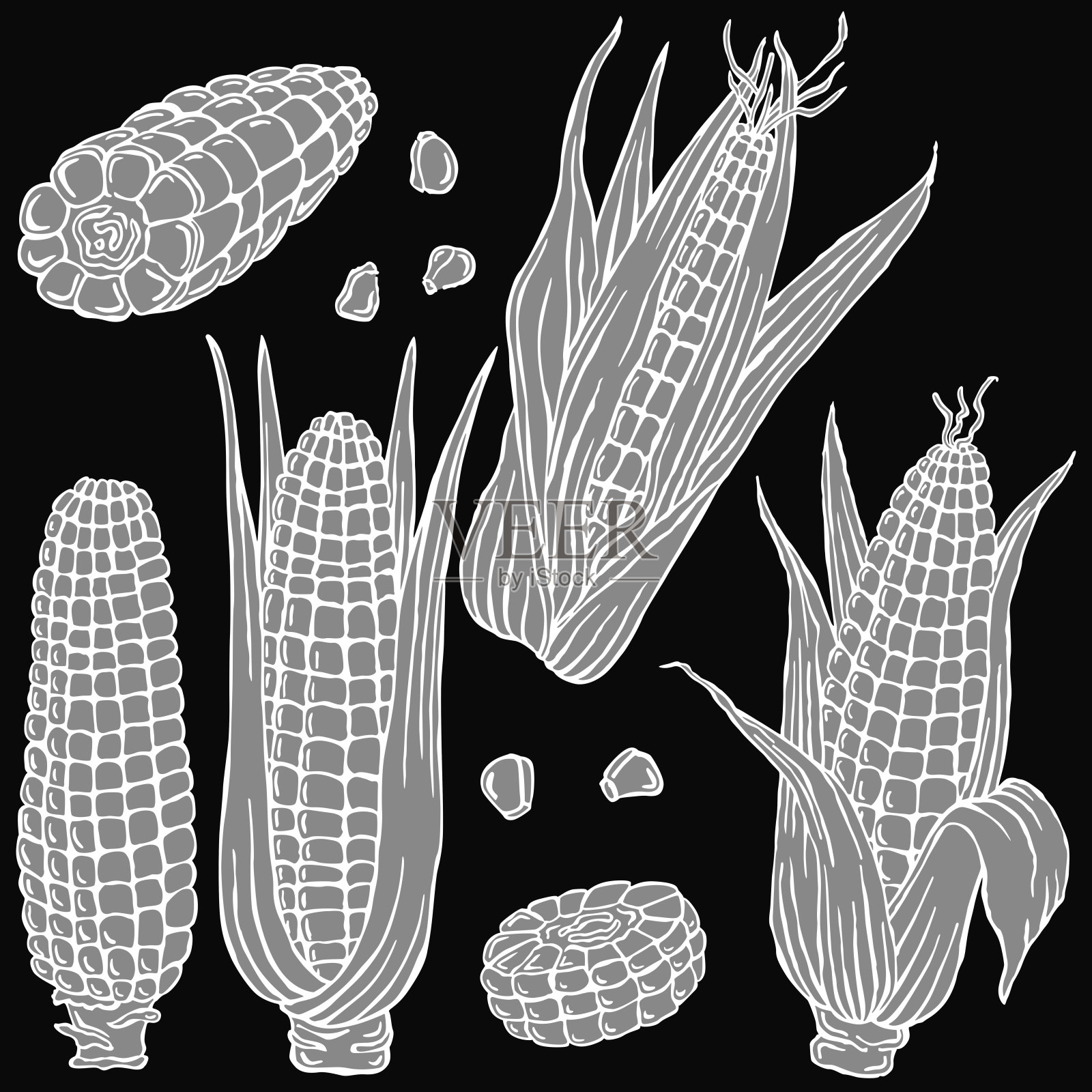 玉米白线带背景，矢量插画图片素材