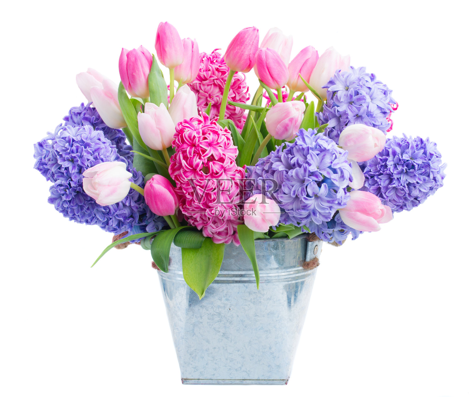 风信子鲜花照片摄影图片