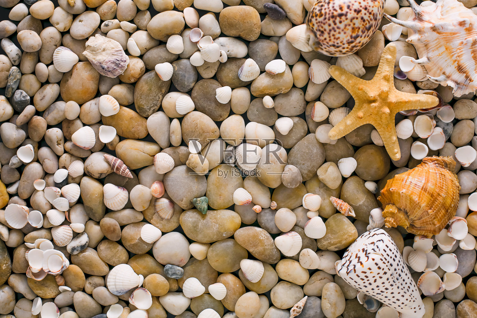 贝壳和卵石为背景，天然海滨石材照片摄影图片