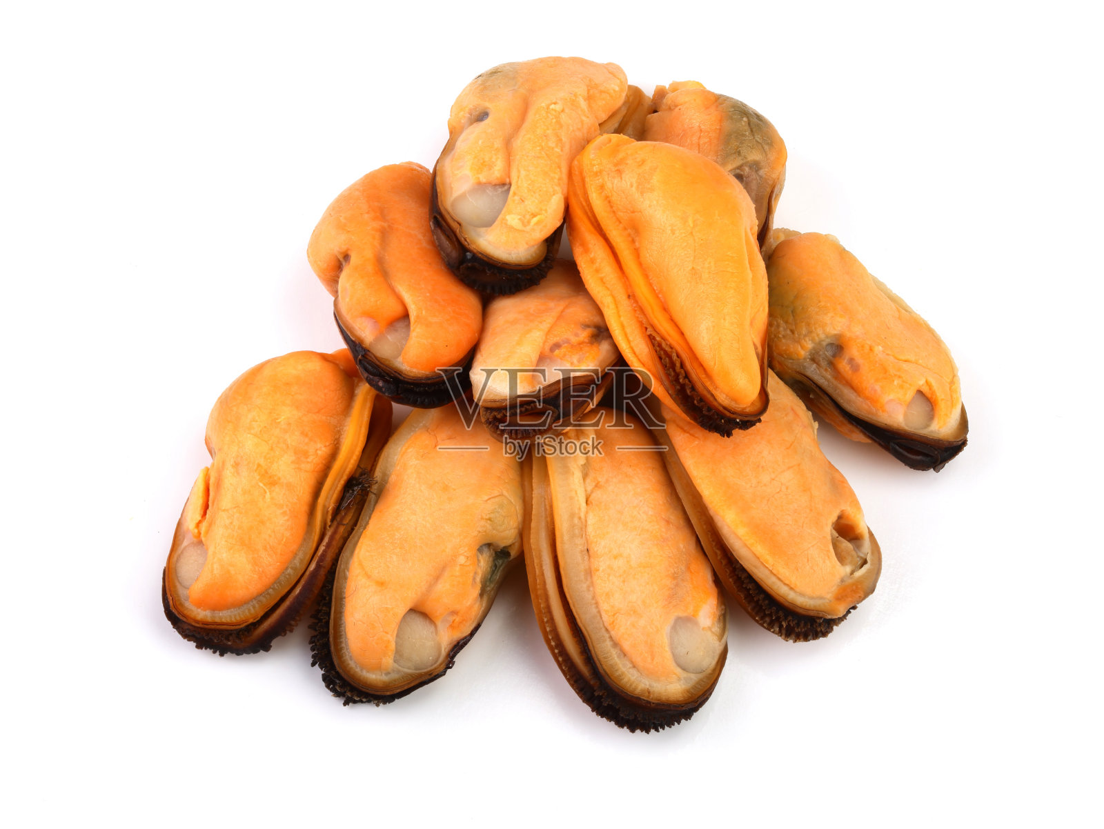 无壳贻贝孤立在白色背景上照片摄影图片