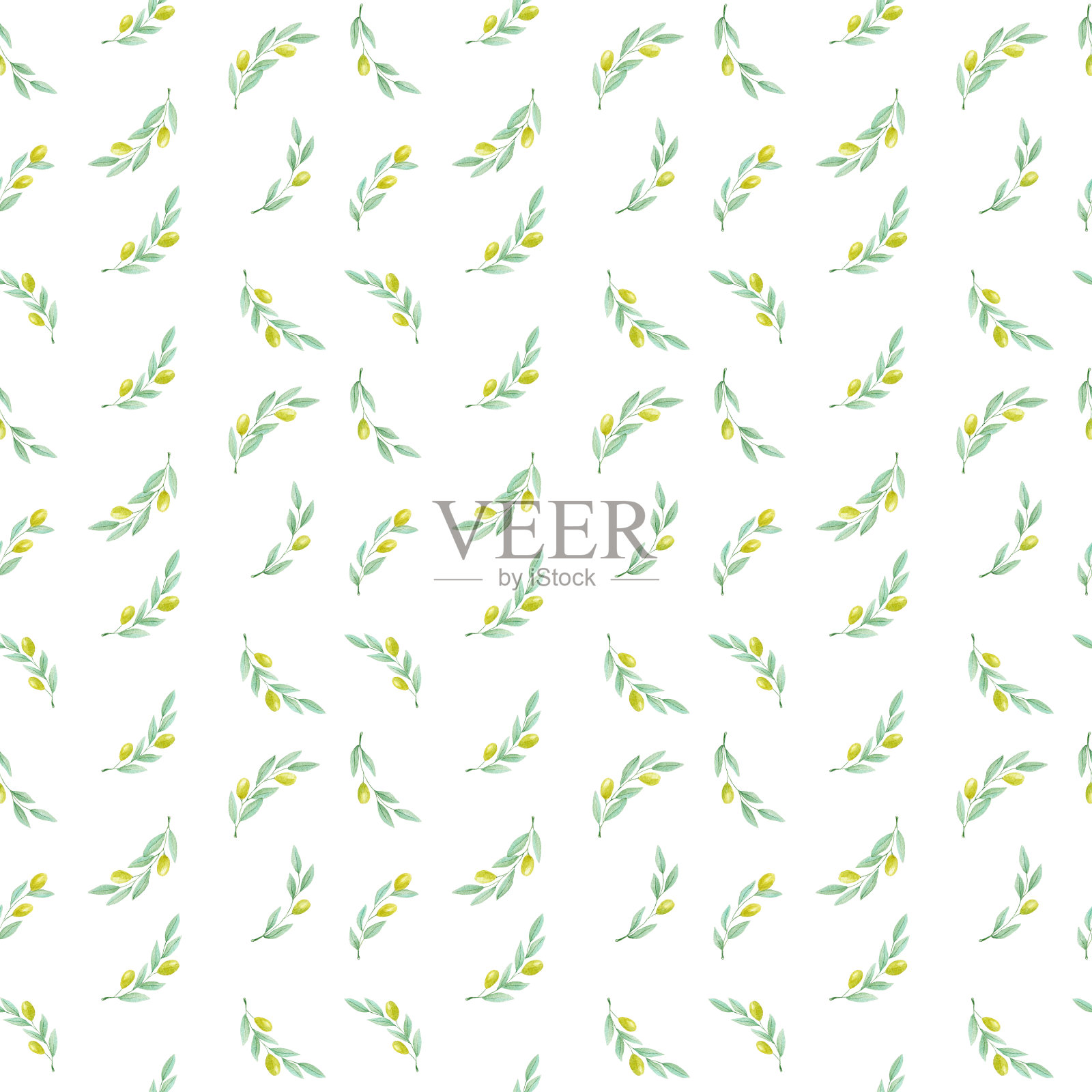 水彩手绘橄榄枝与绿色橄榄插画图片素材