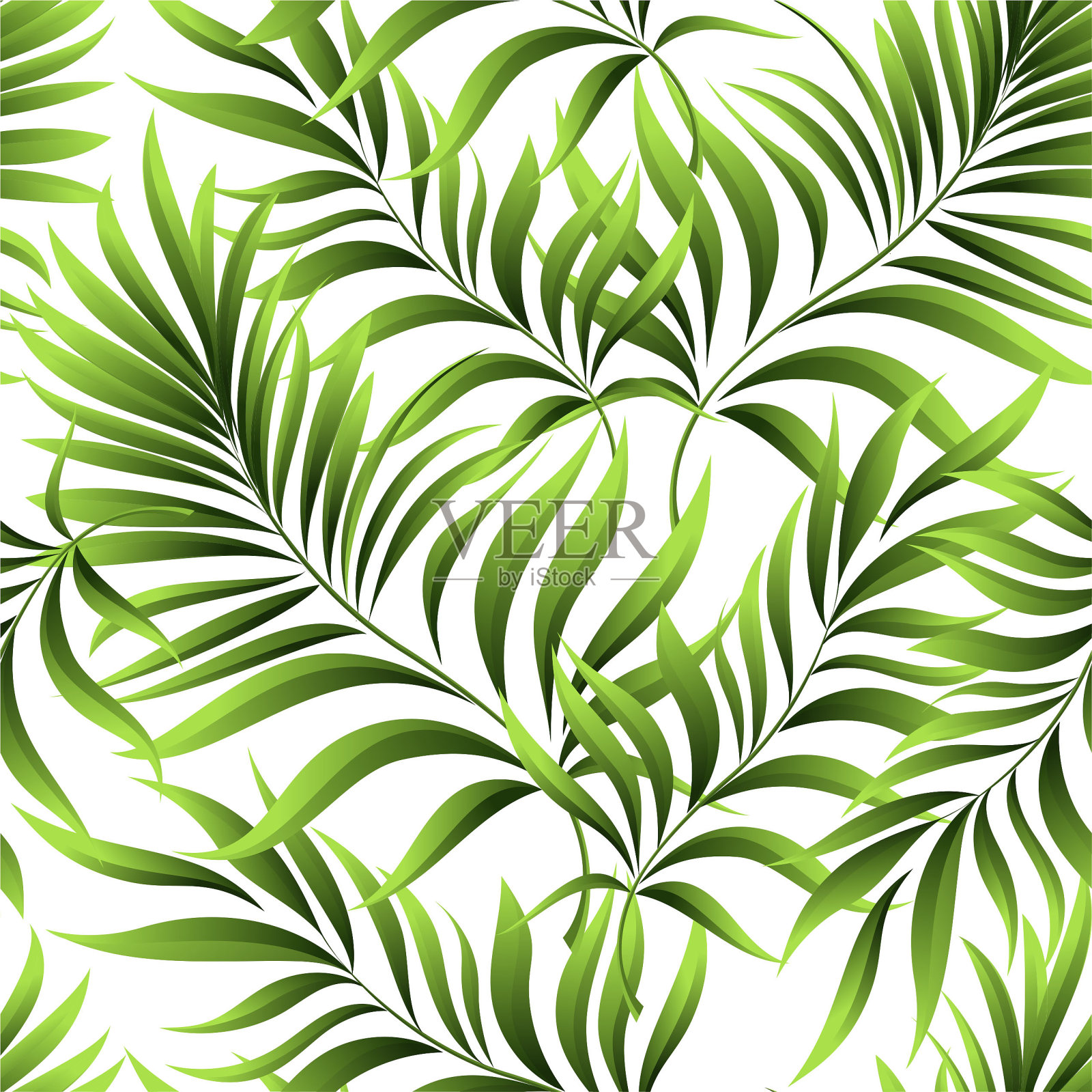 热带棕榈叶，丛林。矢量花图案背景。插画图片素材