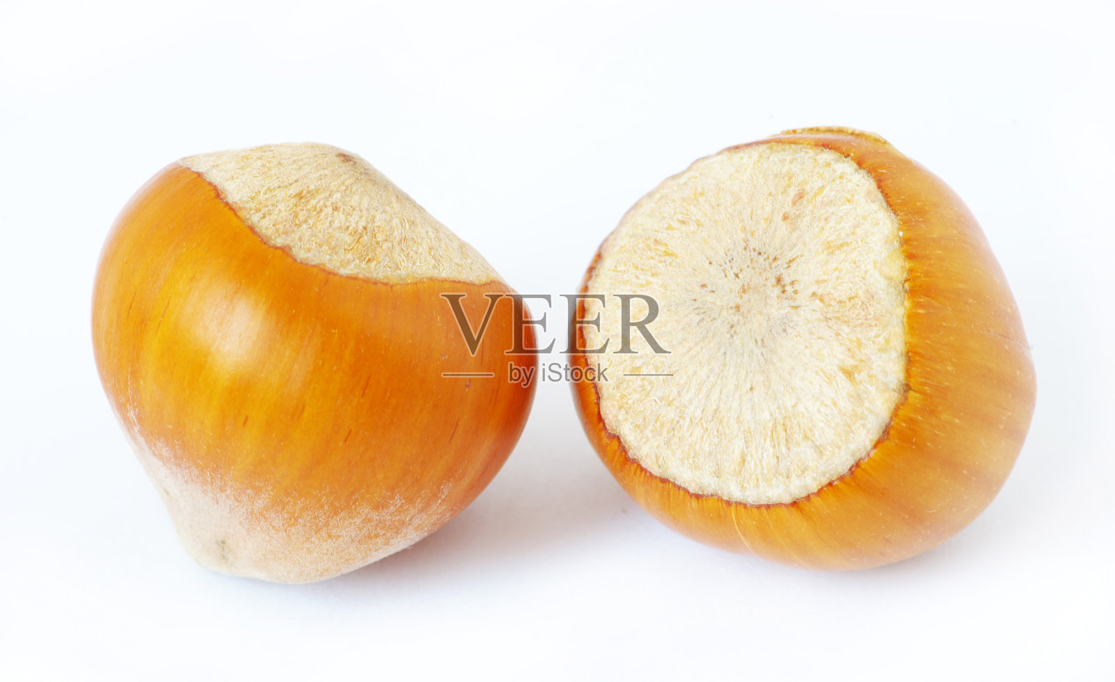 榛子照片摄影图片