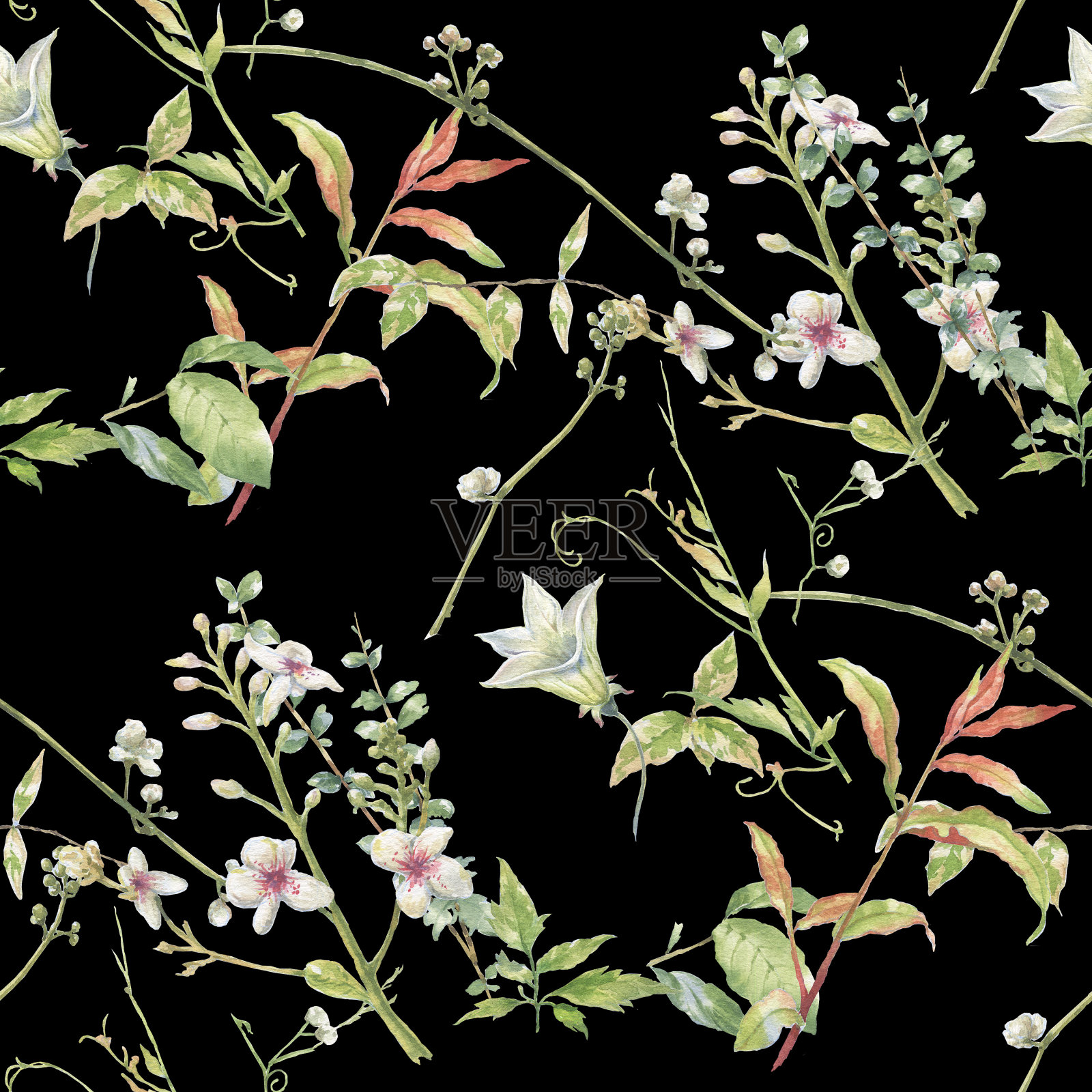叶和花的水彩画，在深色的背景上无缝的图案插画图片素材