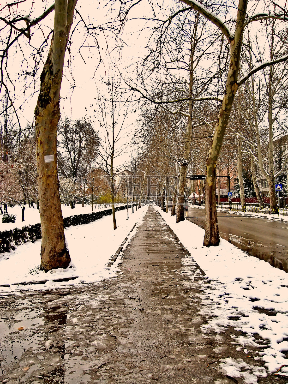 休闲公园旁边的人行道照片摄影图片